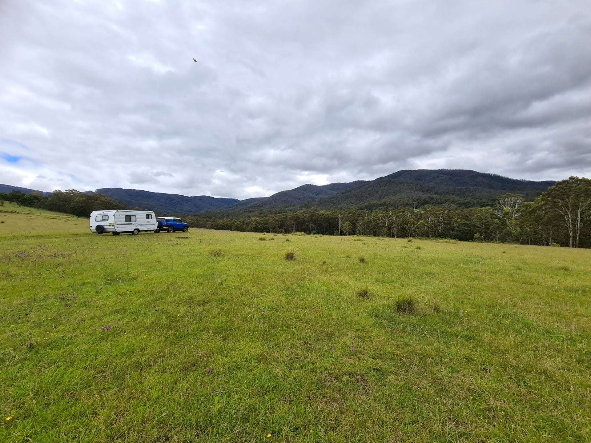 3644 Snowy Mountains Highway, Bemboka For Sale by Farmbuy.com - image 12