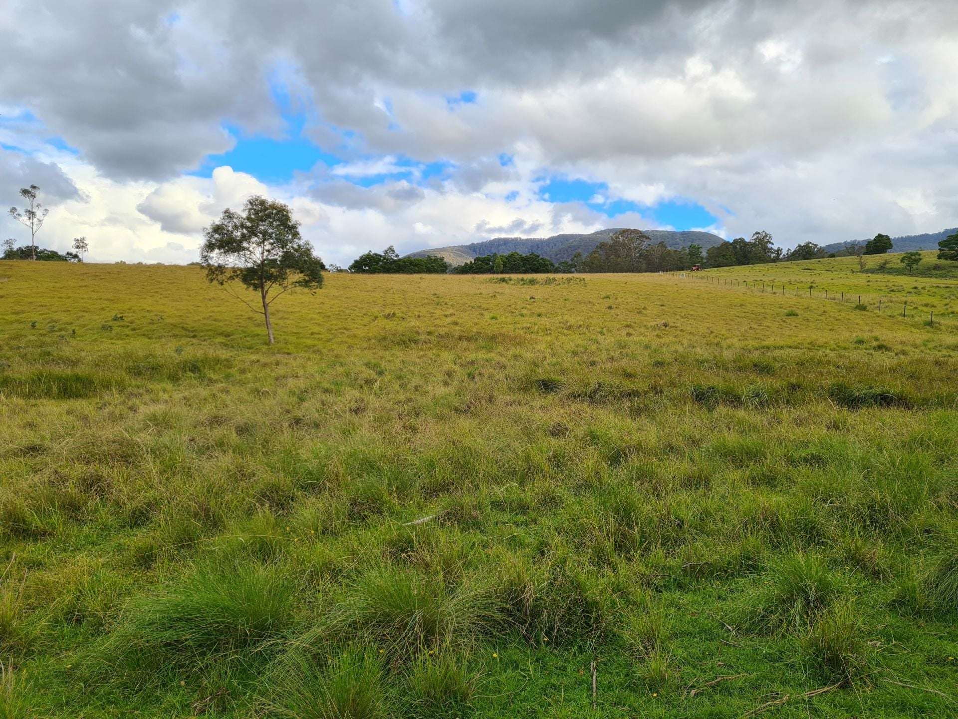 3644 Snowy Mountains Highway, Bemboka For Sale by Farmbuy.com - image 9
