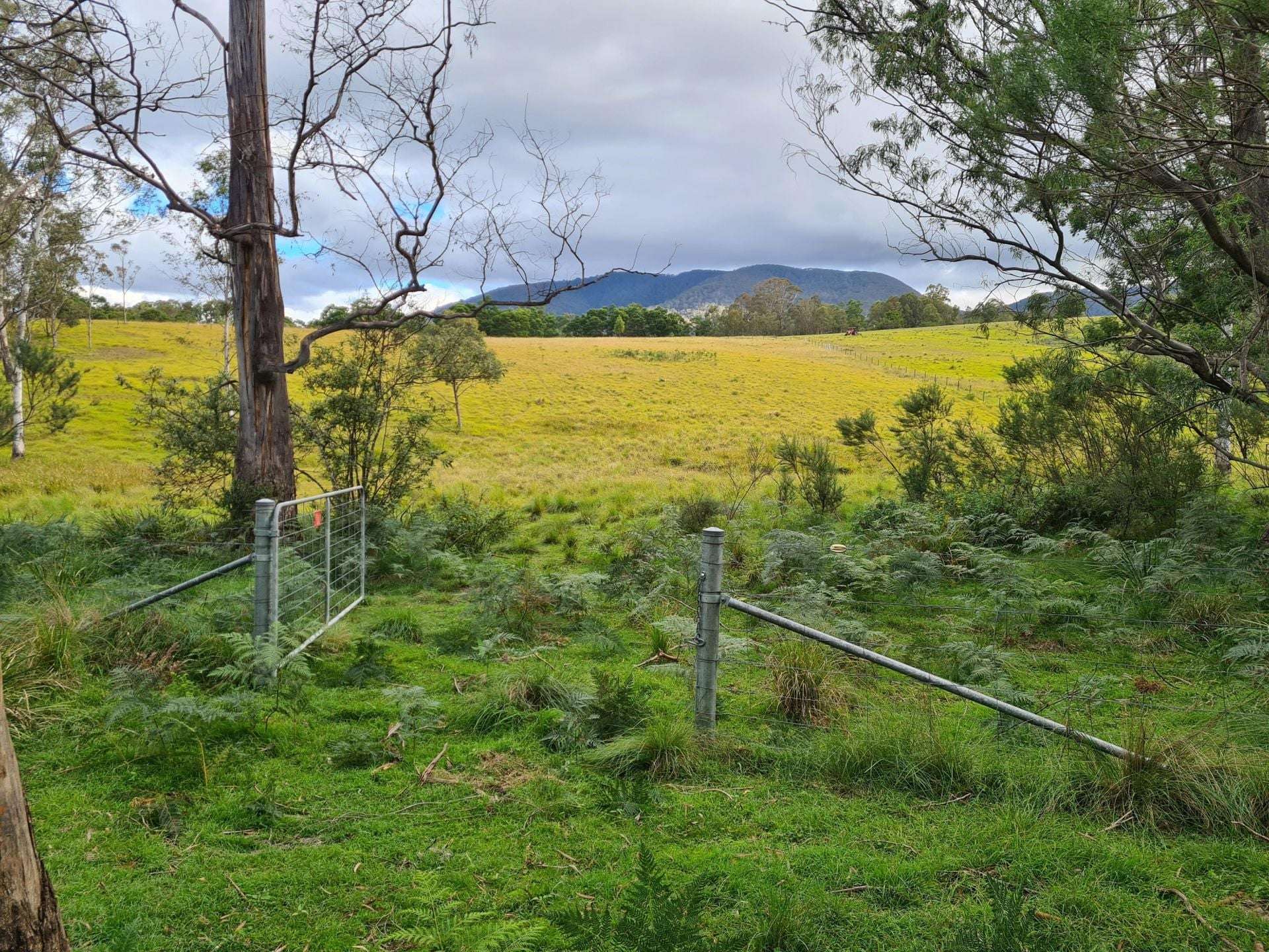 3644 Snowy Mountains Highway, Bemboka For Sale by Farmbuy.com - image 15