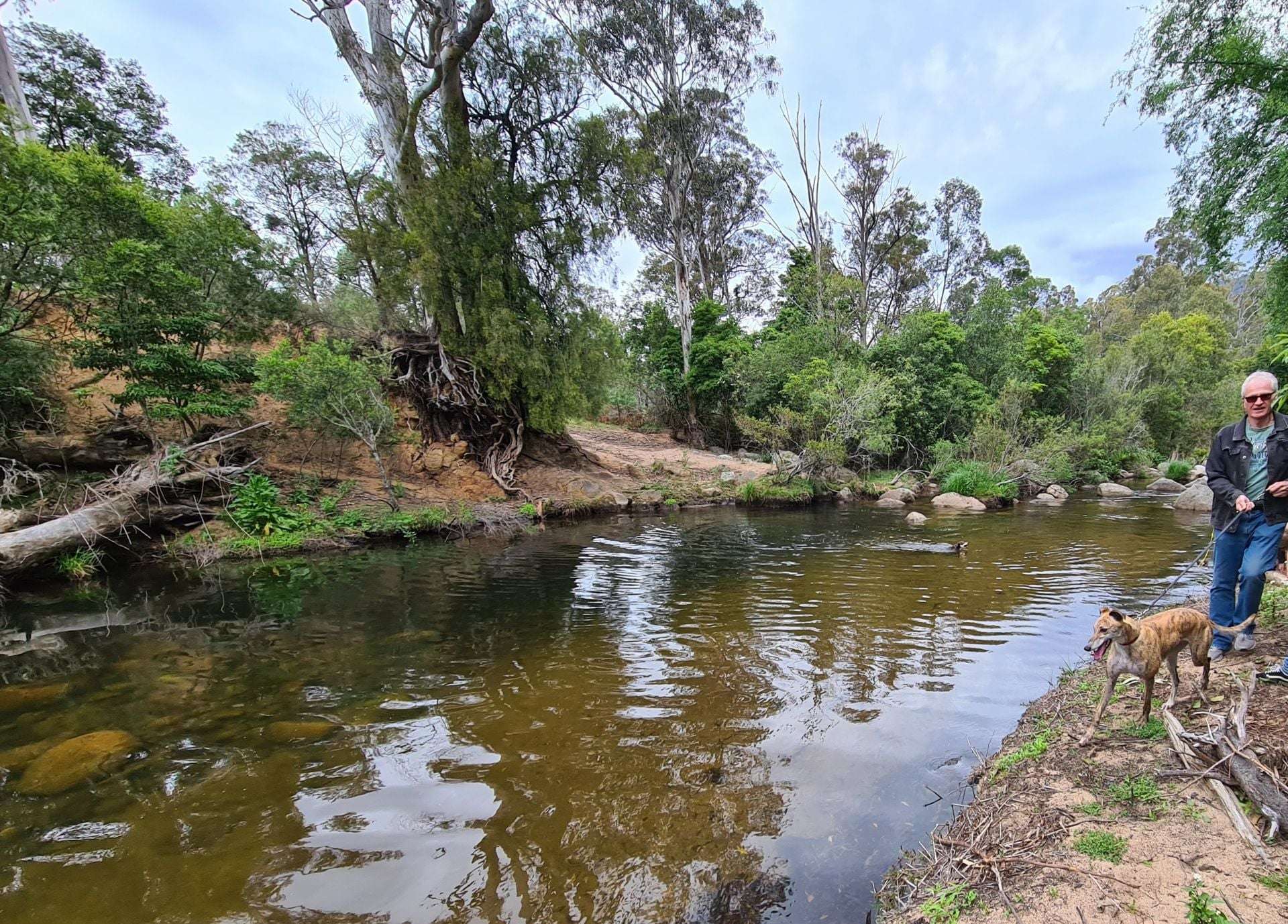 3644 Snowy Mountains Highway, Bemboka For Sale by Farmbuy.com - image 21