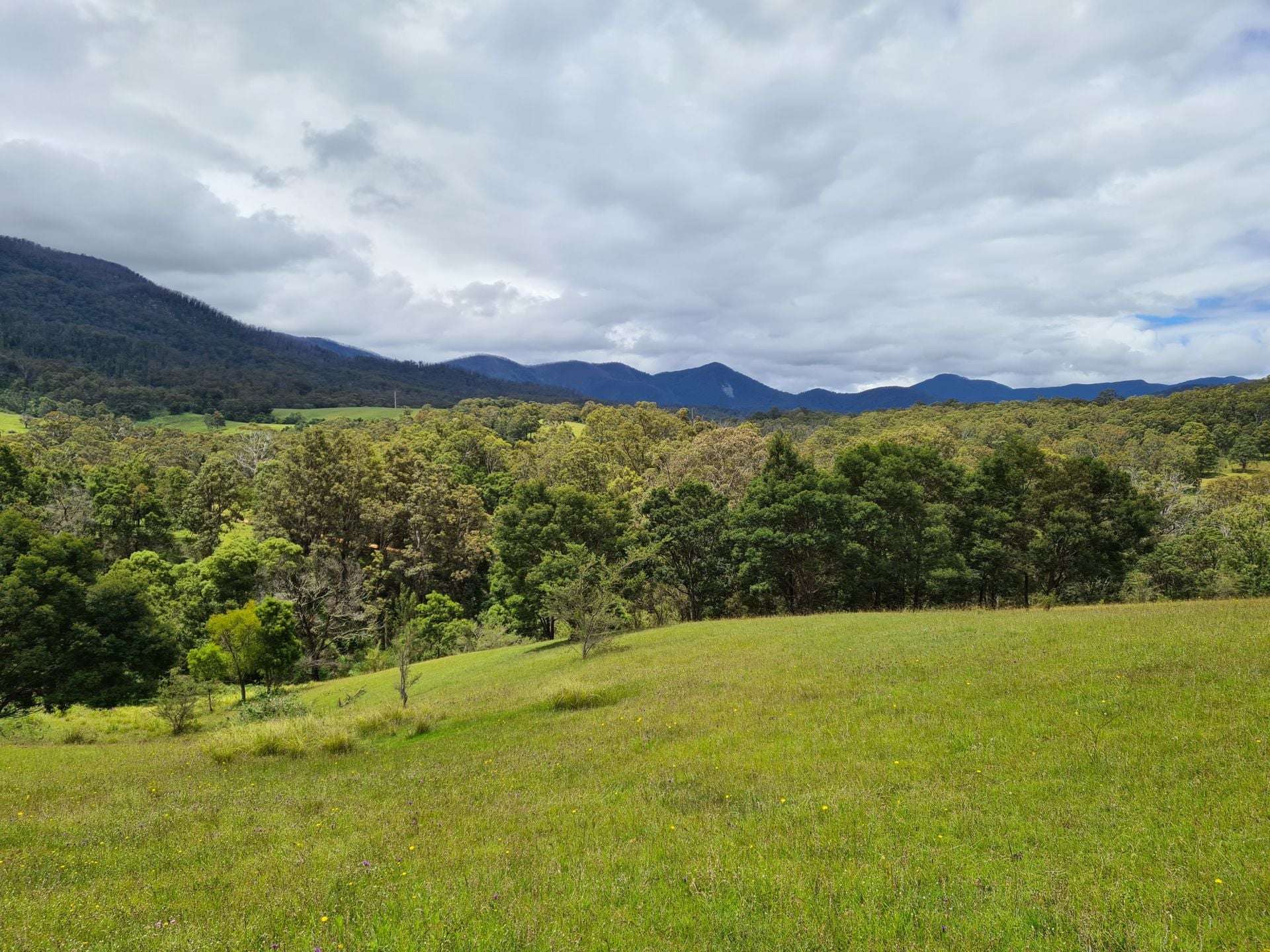 3644 Snowy Mountains Highway, Bemboka For Sale by Farmbuy.com - image 5