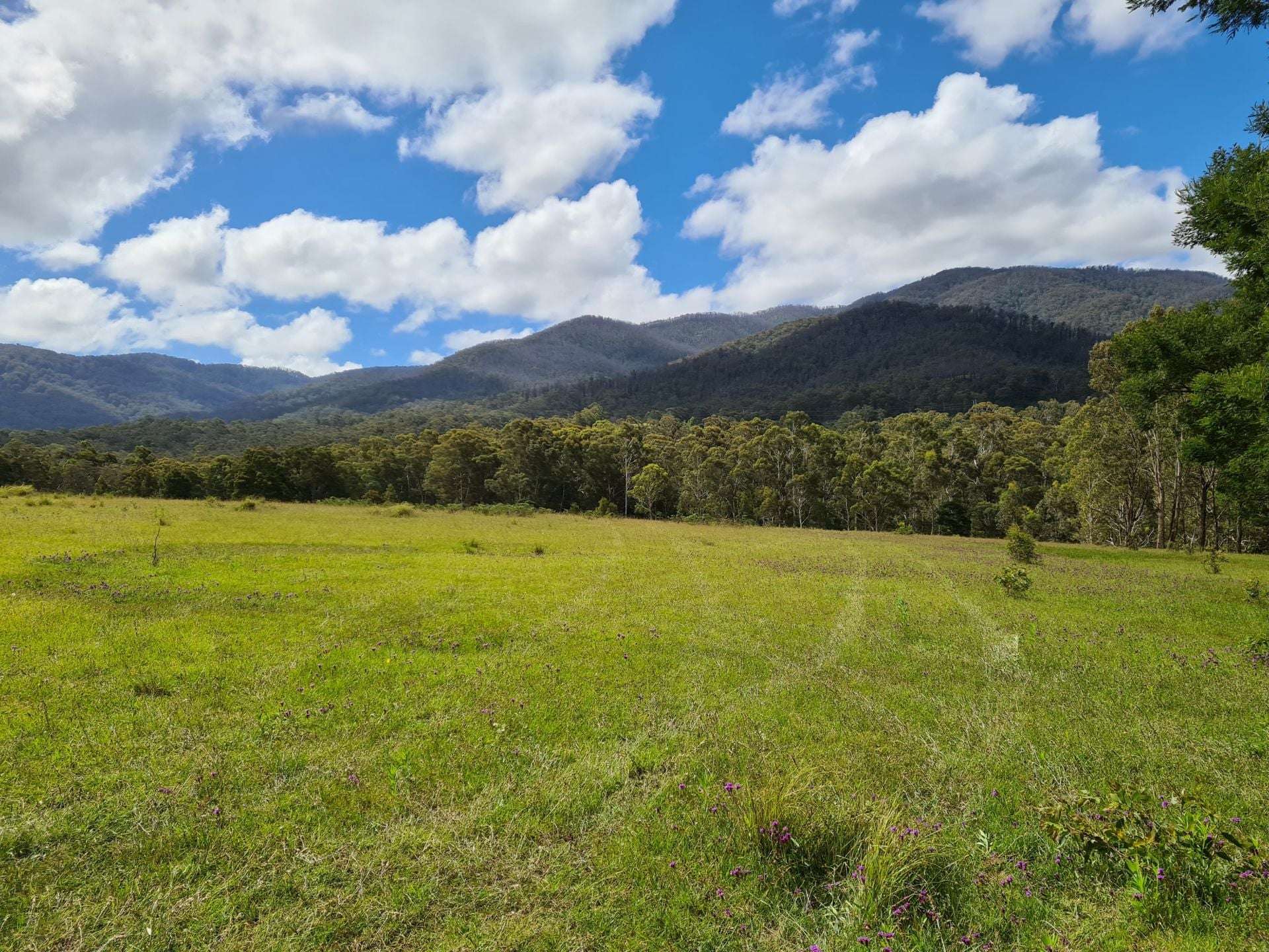 3644 Snowy Mountains Highway, Bemboka For Sale by Farmbuy.com - image 11