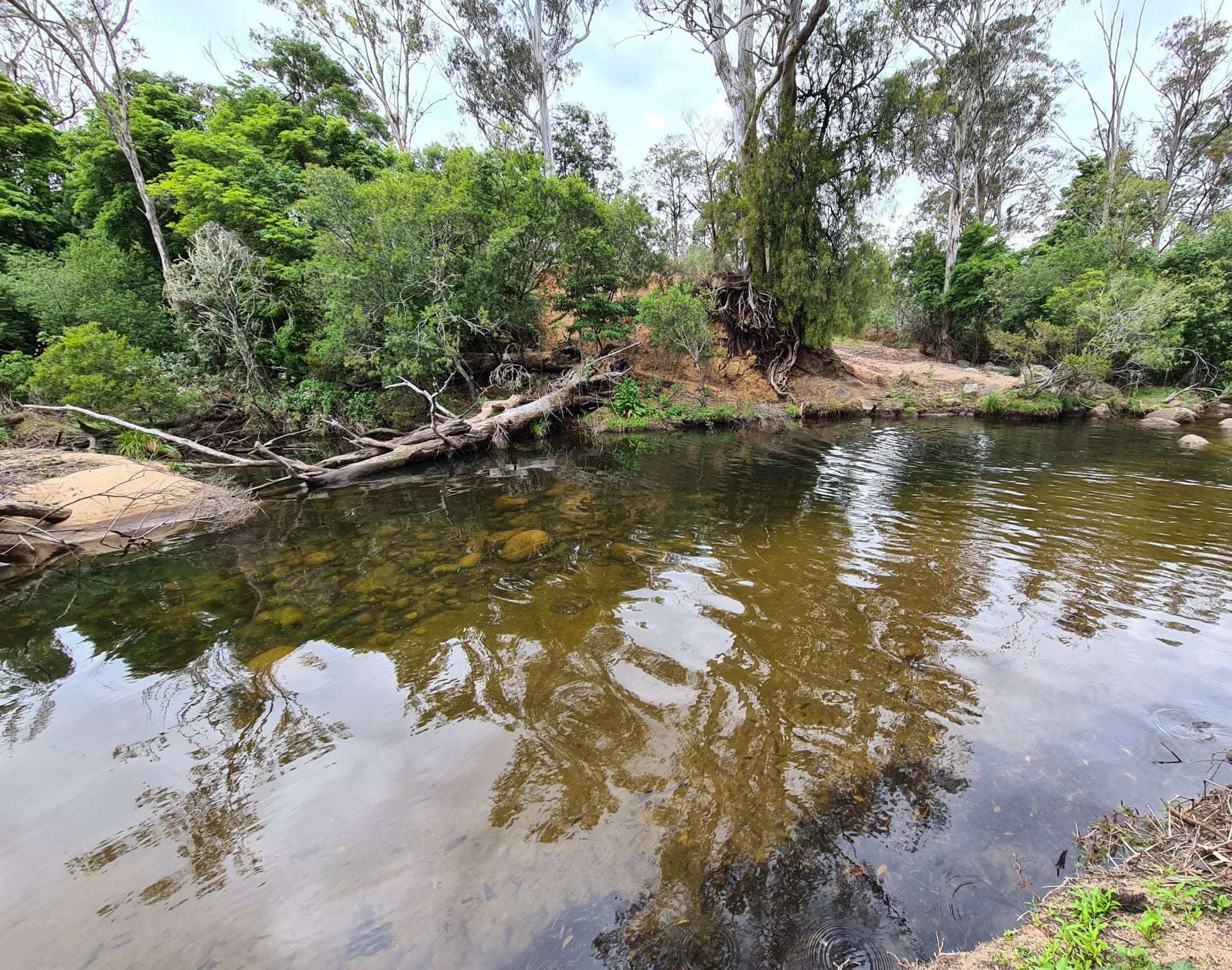 3644 Snowy Mountains Highway, Bemboka For Sale by Farmbuy.com - image 19