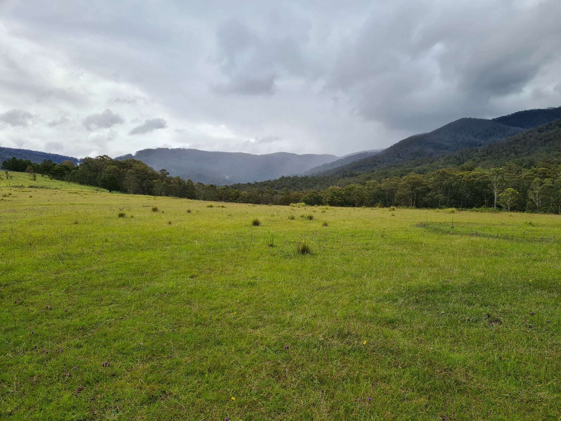3644 Snowy Mountains Highway, Bemboka For Sale by Farmbuy.com - image 7