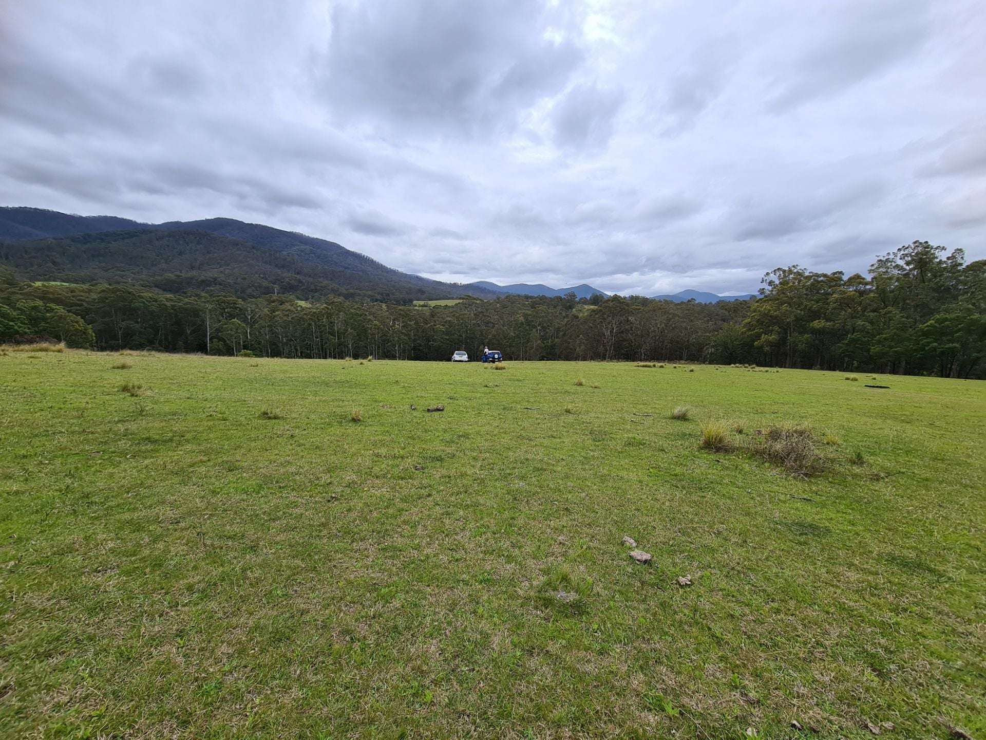 3644 Snowy Mountains Highway, Bemboka For Sale by Farmbuy.com - image 5