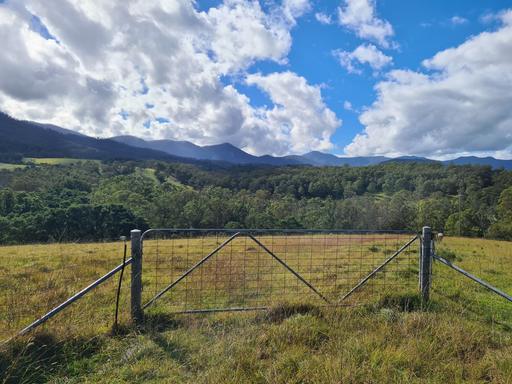 3644 Snowy Mountains Highway, Bemboka NSW 2550