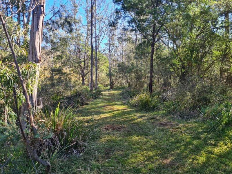 3644 Snowy Mountains Highway, Bemboka For Sale by Farmbuy.com - image 17