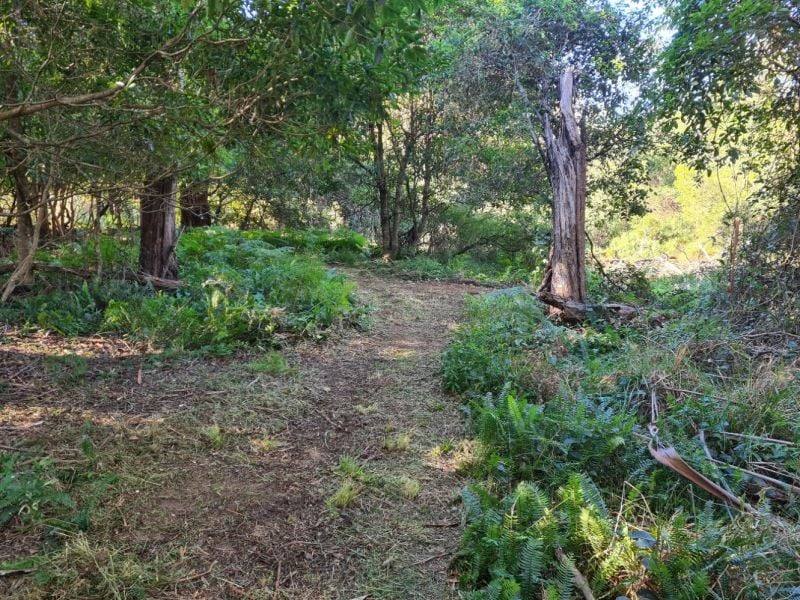 3644 Snowy Mountains Highway, Bemboka For Sale by Farmbuy.com - image 18