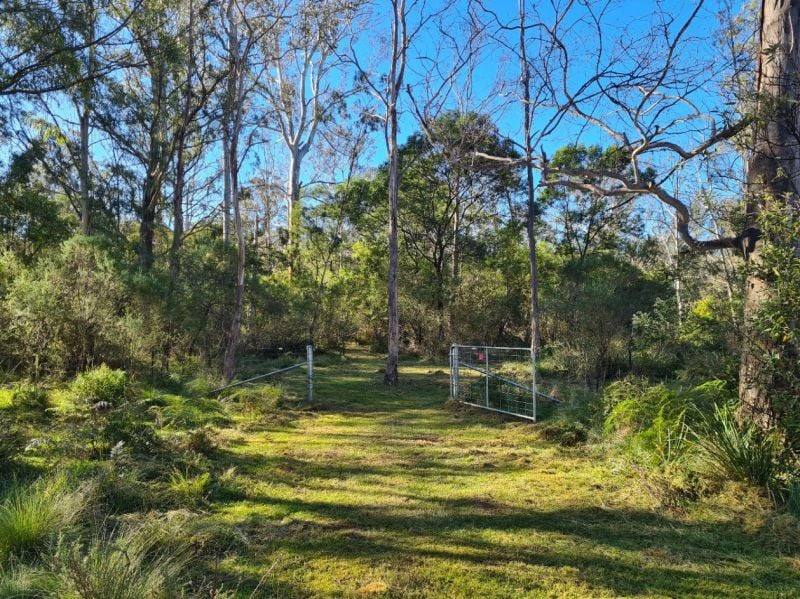 3644 Snowy Mountains Highway, Bemboka For Sale by Farmbuy.com - image 16
