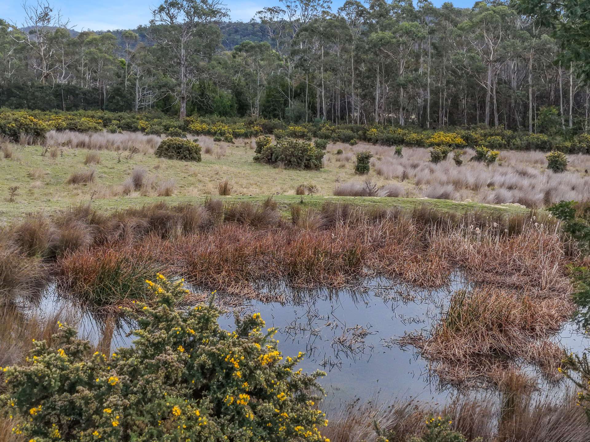 Lot 14, 524 Rosedale Road, Bicheno For Sale by Farmbuy.com - image 8