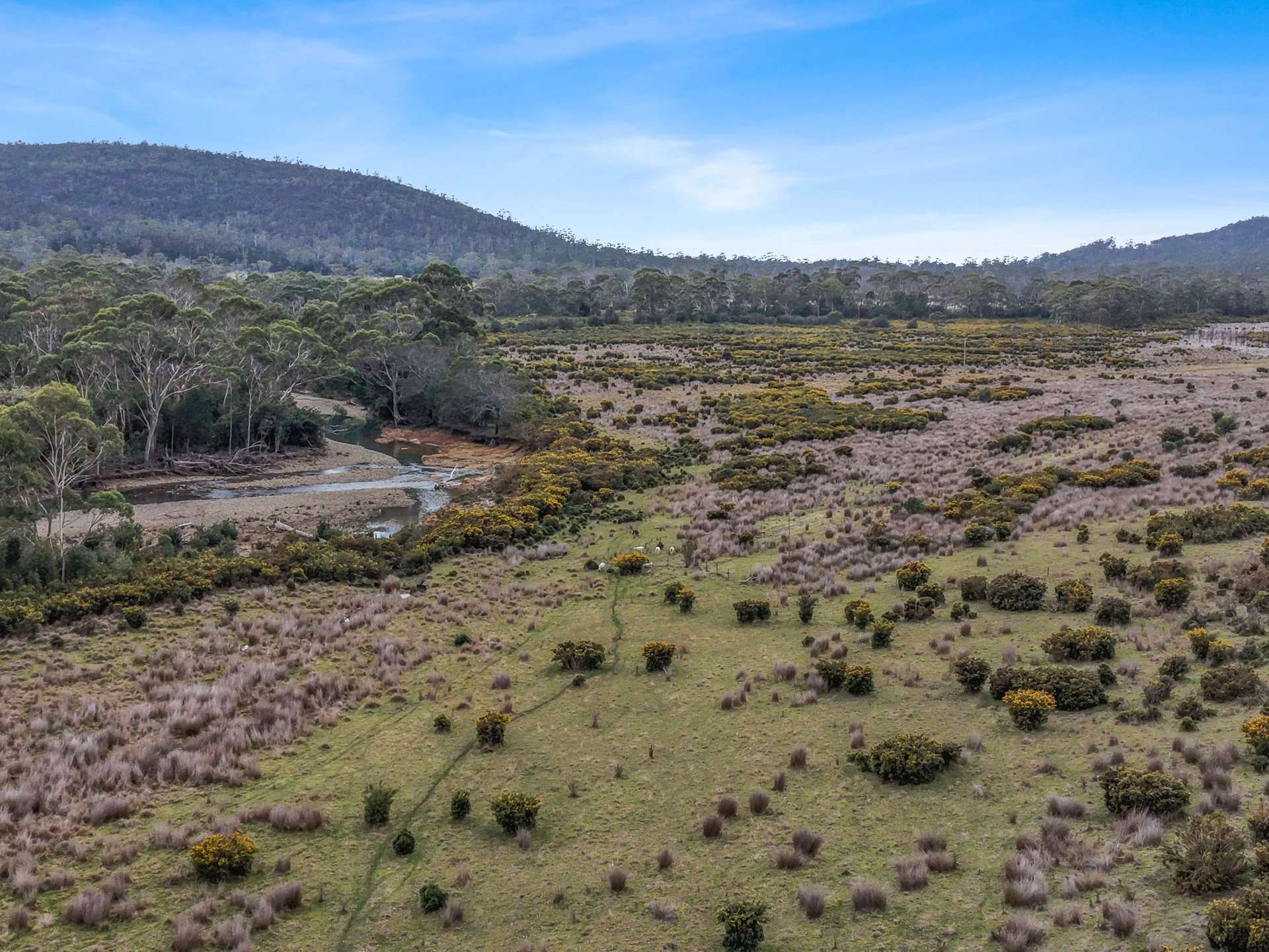Lot 14, 524 Rosedale Road, Bicheno For Sale by Farmbuy.com - image 10