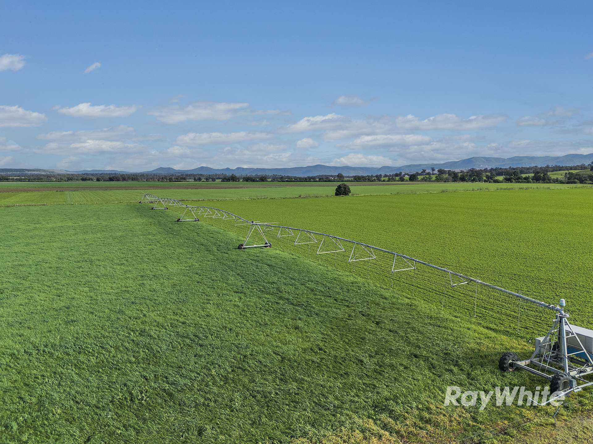 83 Knodlers Lane, Maison Dieu, Singleton For Sale by Farmbuy.com - image 3