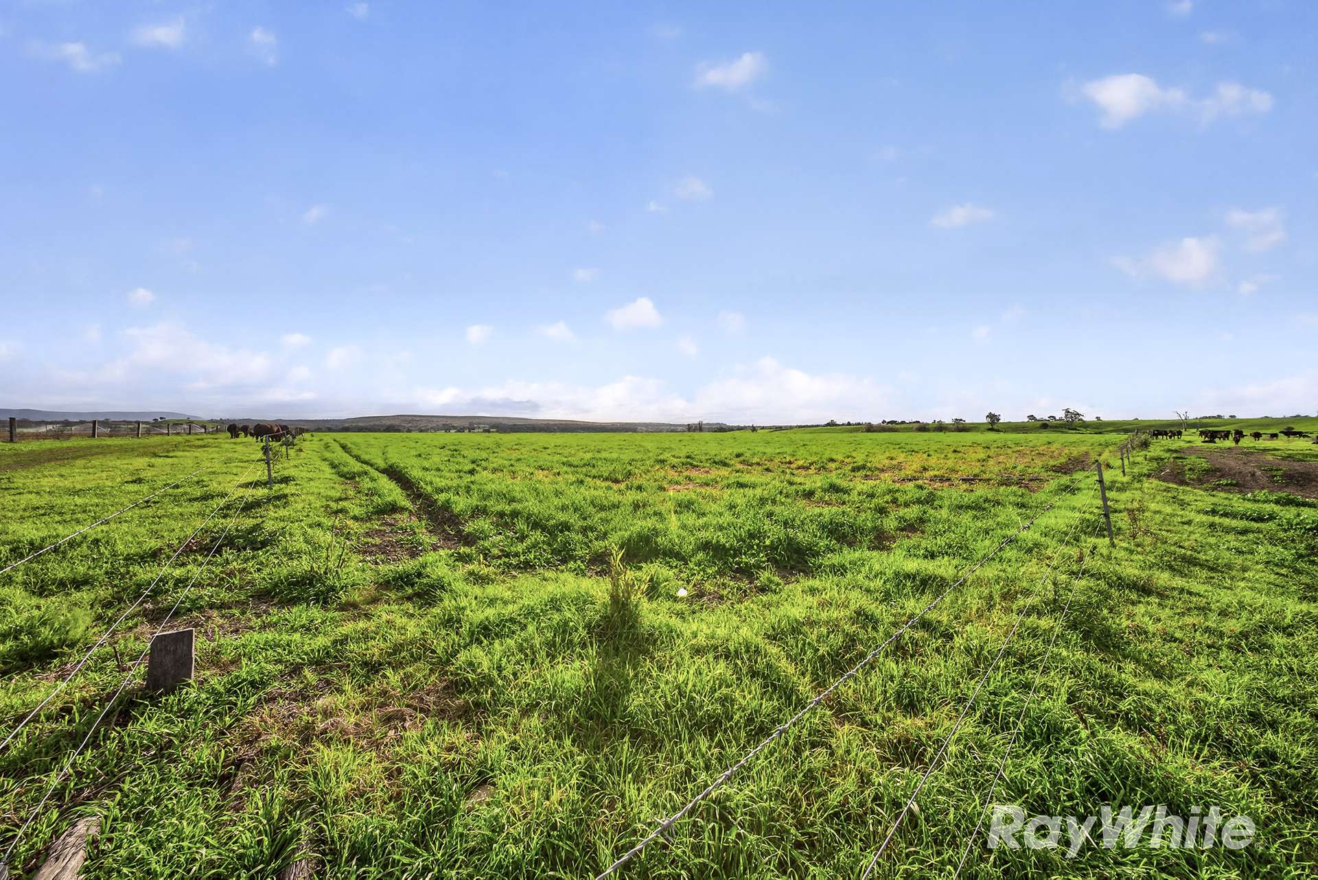 83 Knodlers Lane, Maison Dieu, Singleton For Sale by Farmbuy.com - image 14