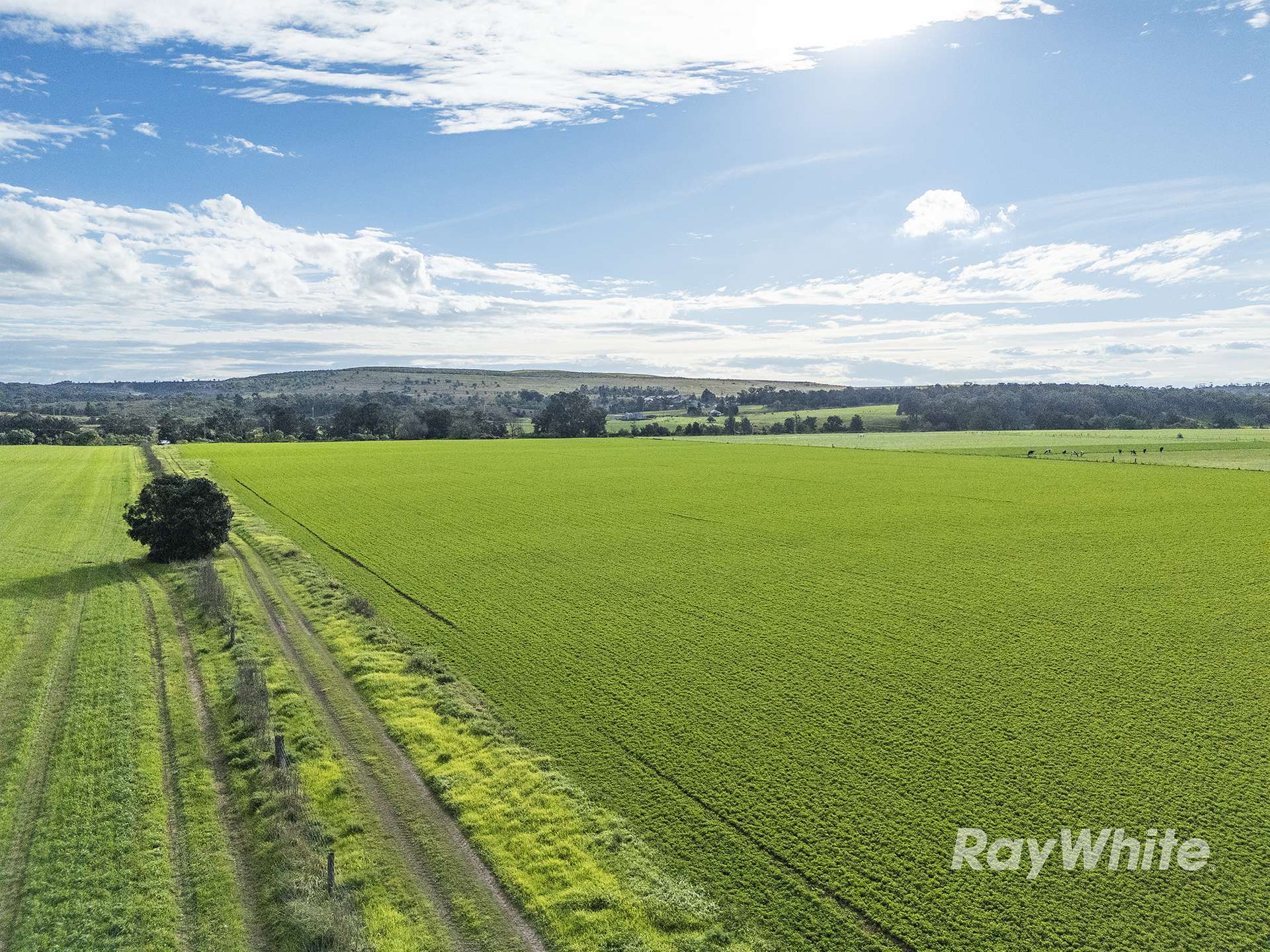 83 Knodlers Lane, Maison Dieu, Singleton For Sale by Farmbuy.com - image 6