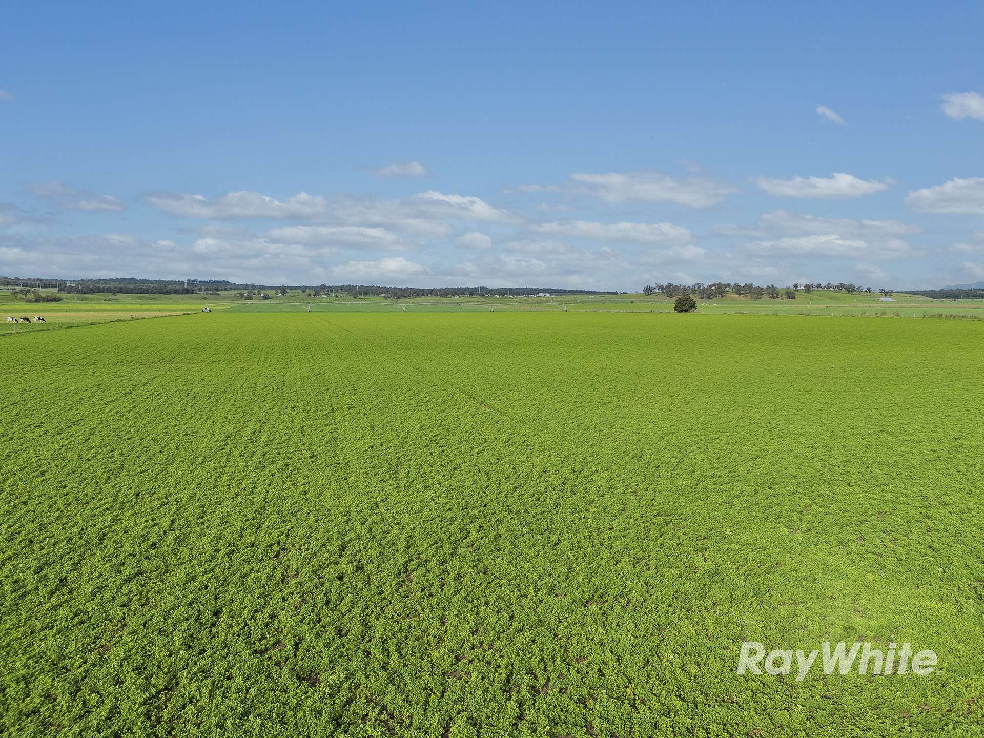 83 Knodlers Lane, Maison Dieu, Singleton For Sale by Farmbuy.com - image 5
