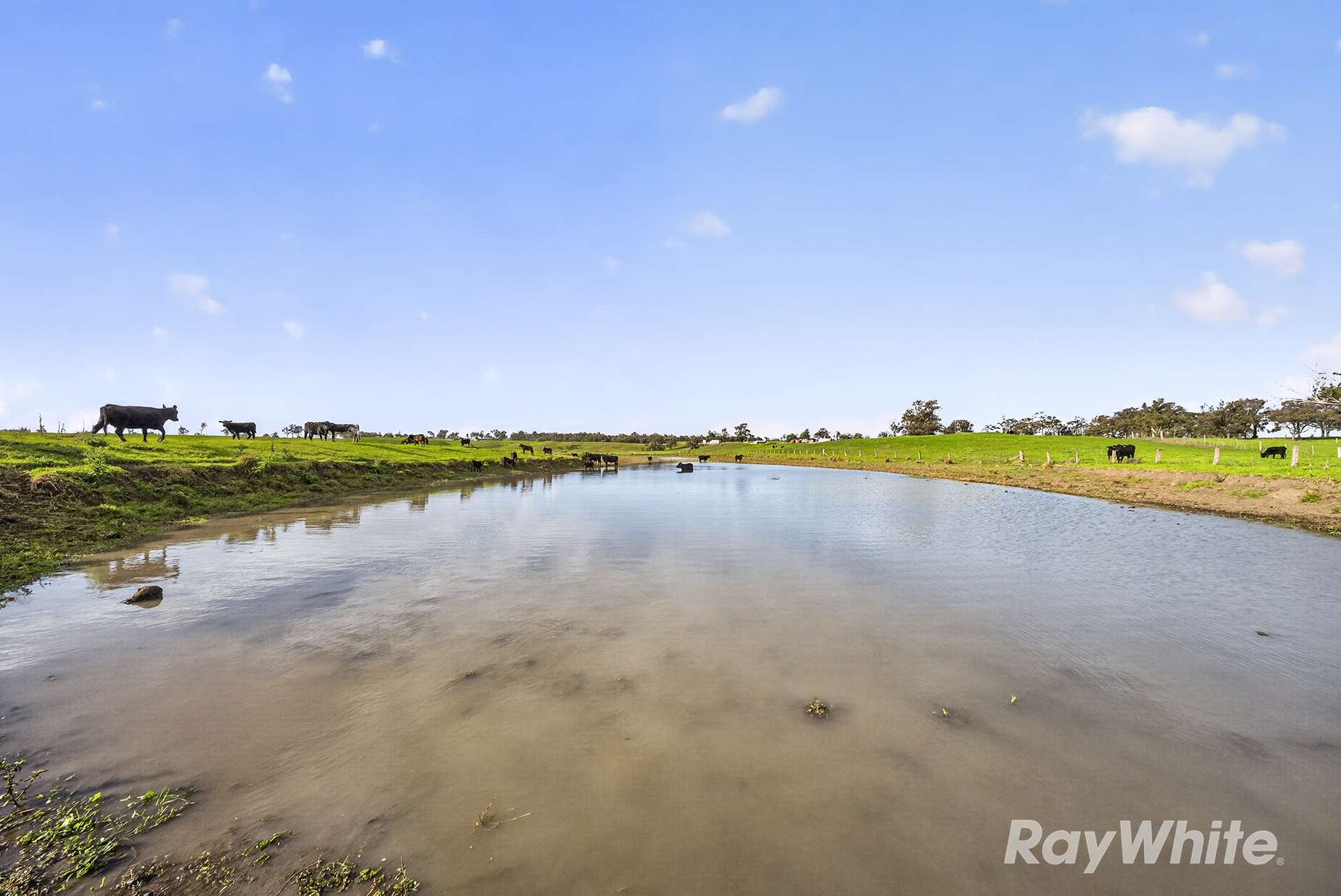 83 Knodlers Lane, Maison Dieu, Singleton For Sale by Farmbuy.com - image 13