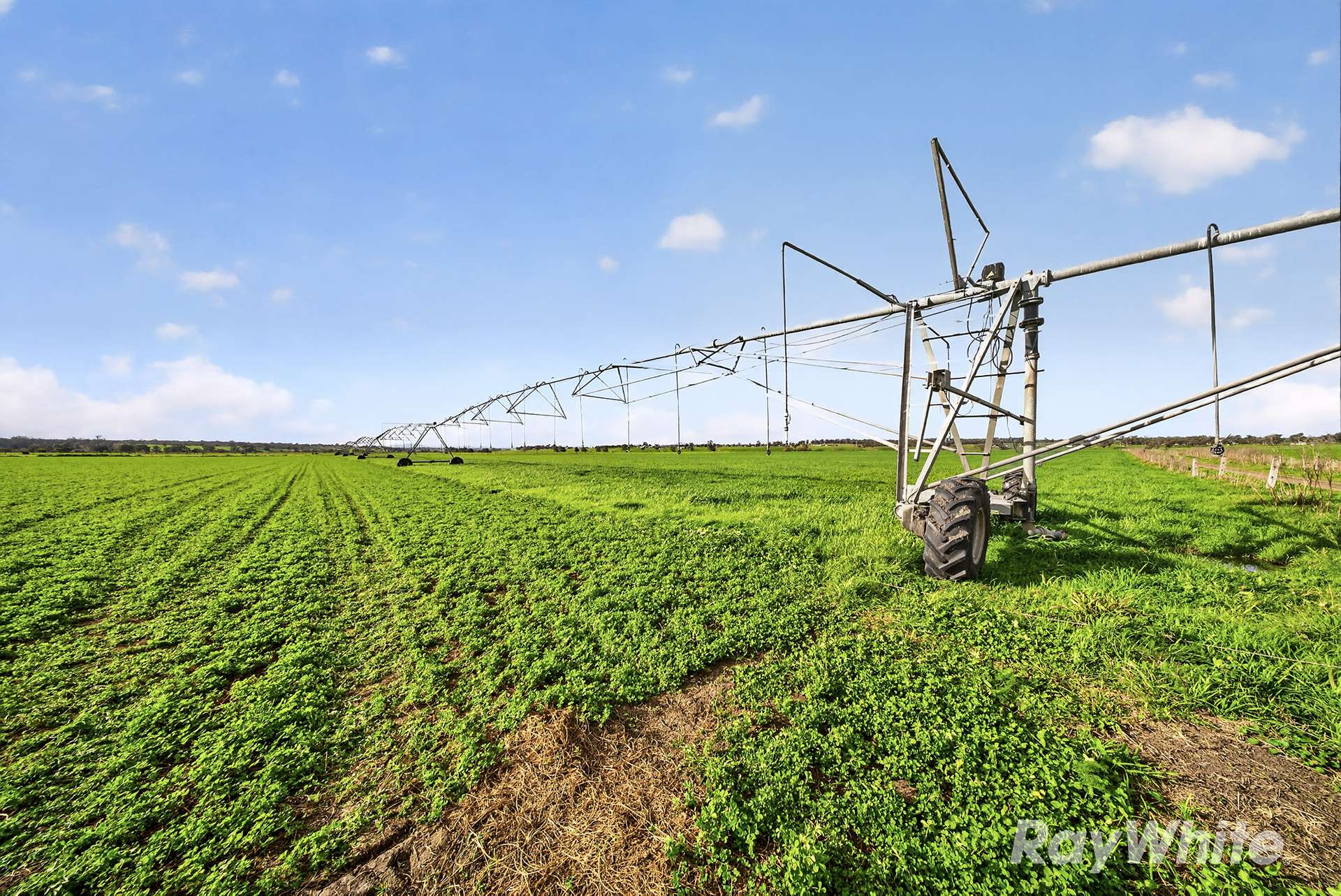 83 Knodlers Lane, Maison Dieu, Singleton For Sale by Farmbuy.com - image 12