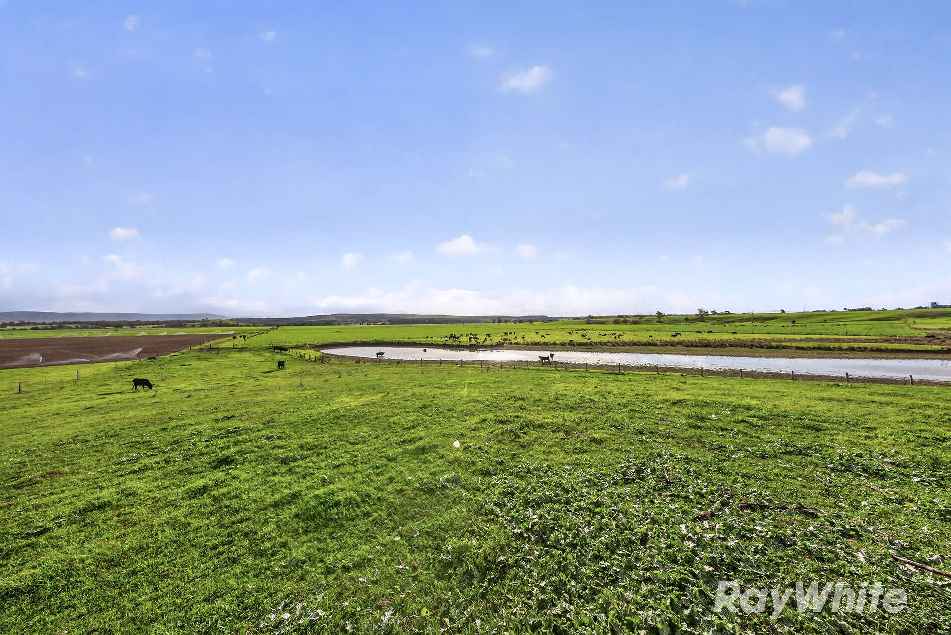 83 Knodlers Lane, Maison Dieu, Singleton For Sale by Farmbuy.com - image 15