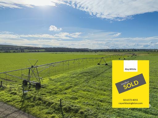 Farm Sold - NSW - Singleton - 2330 - Highly Productive Irrigation Property with Extensive Water Entitlement 