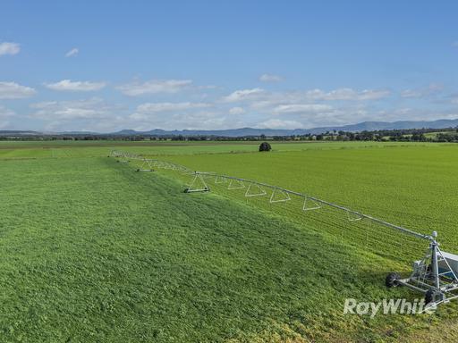 Farm For Sale - NSW - Singleton - 2330 - Highly Productive Irrigation Property with Extensive Water Entitlement 