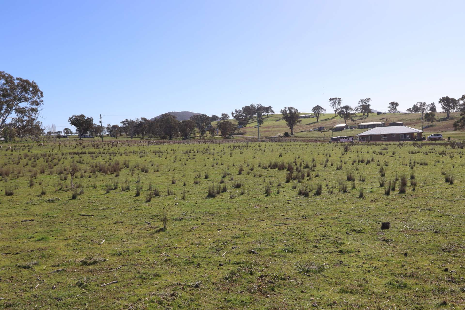 22 McGee Place Murringo Via, Young For Sale by Farmbuy.com - image 5