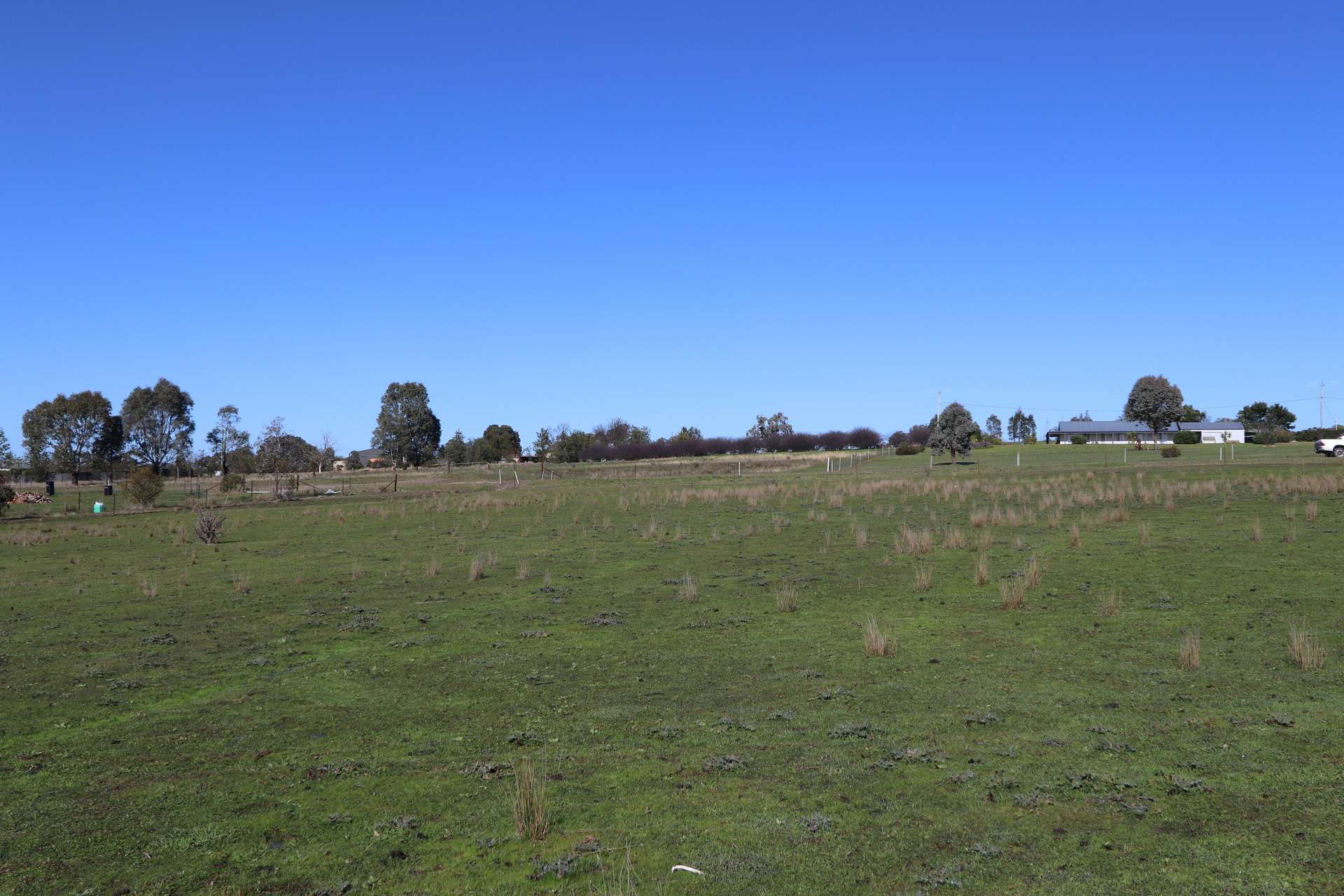 22 McGee Place Murringo Via, Young For Sale by Farmbuy.com - image 4