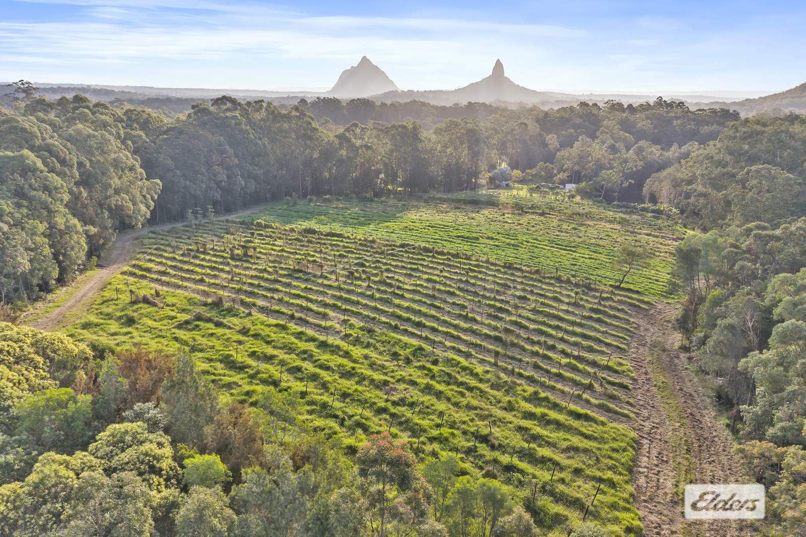171 Barrs Road, Glass House Mountains For Sale by Farmbuy.com - image 13