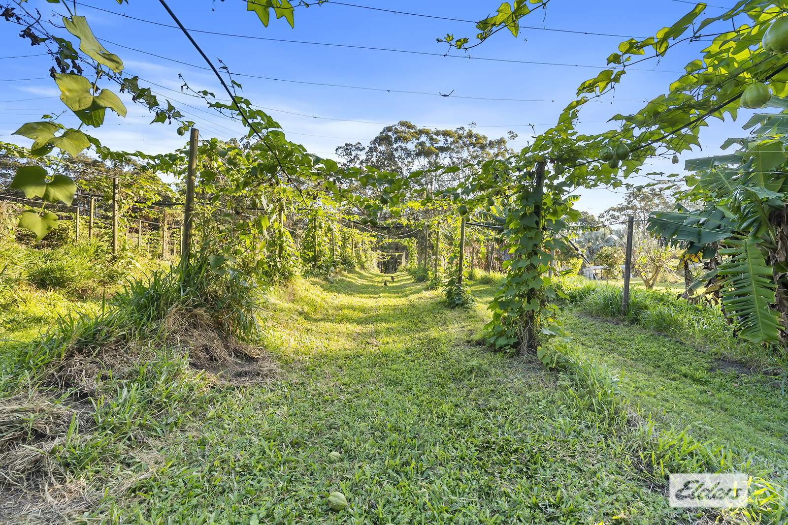 171 Barrs Road, Glass House Mountains For Sale by Farmbuy.com - image 24