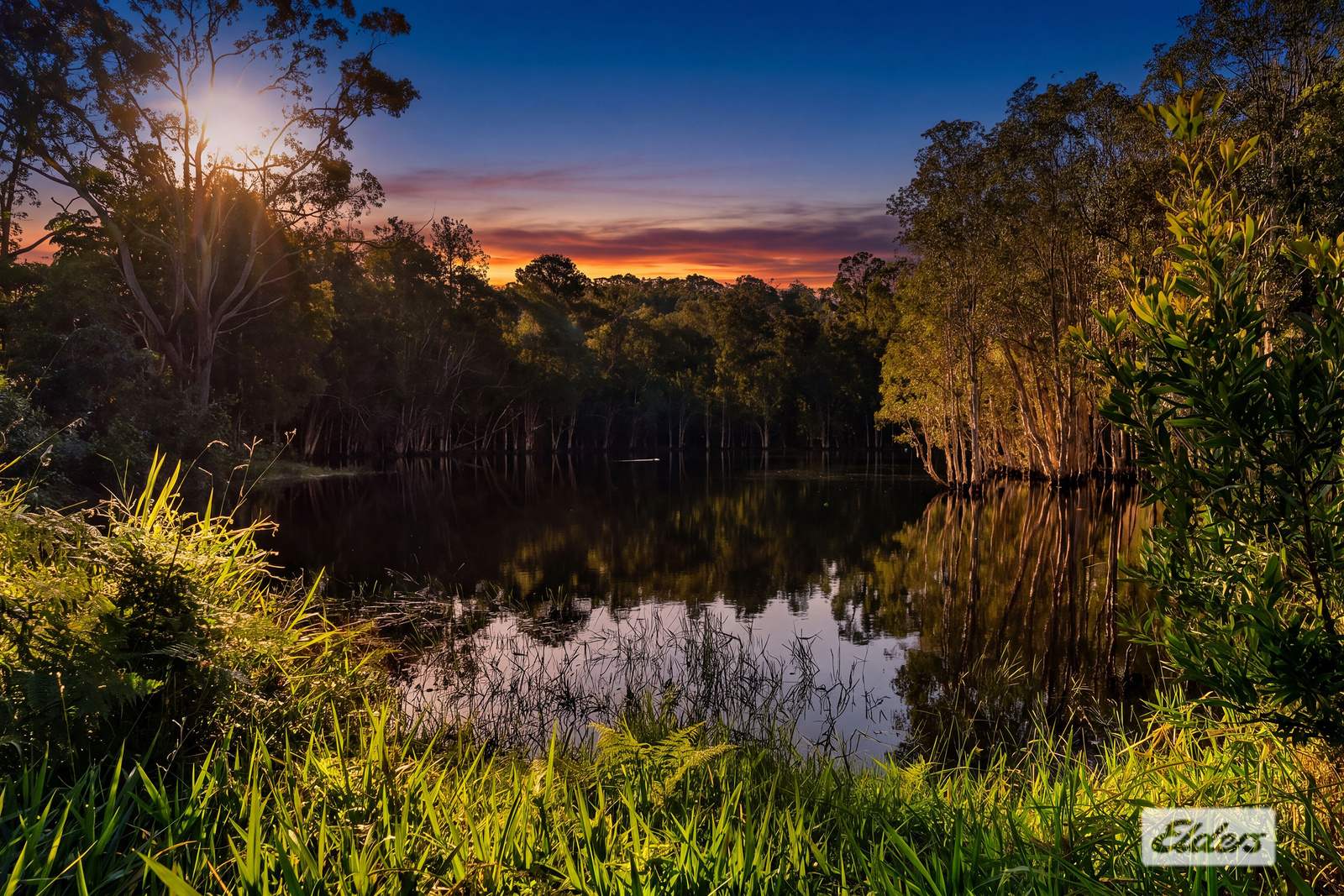 171 Barrs Road, Glass House Mountains For Sale by Farmbuy.com - image 6