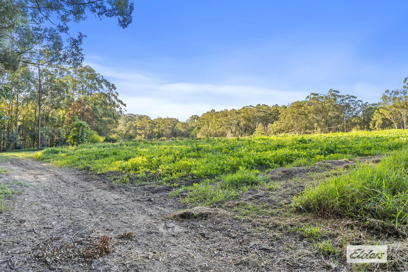 171 Barrs Road, Glass House Mountains For Sale by Farmbuy.com - image 25