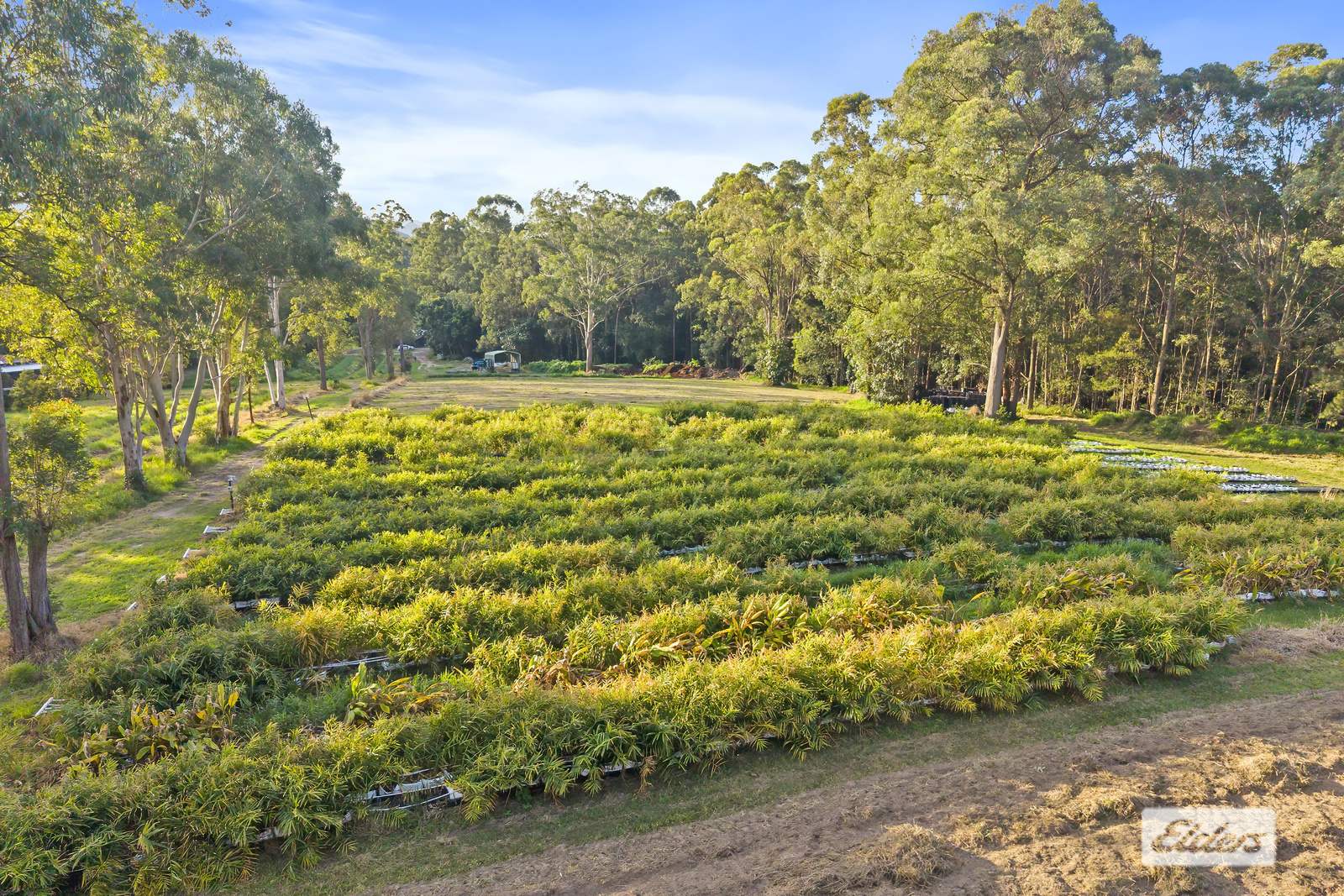 171 Barrs Road, Glass House Mountains For Sale by Farmbuy.com - image 15