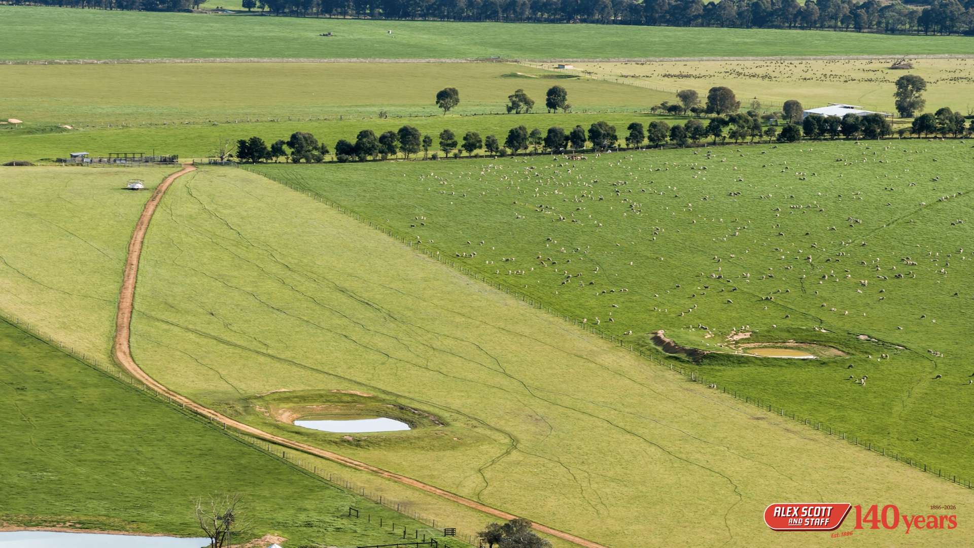 985 Rosedale Flynns Creek Road, Rosedale For Sale by Farmbuy.com - image 14