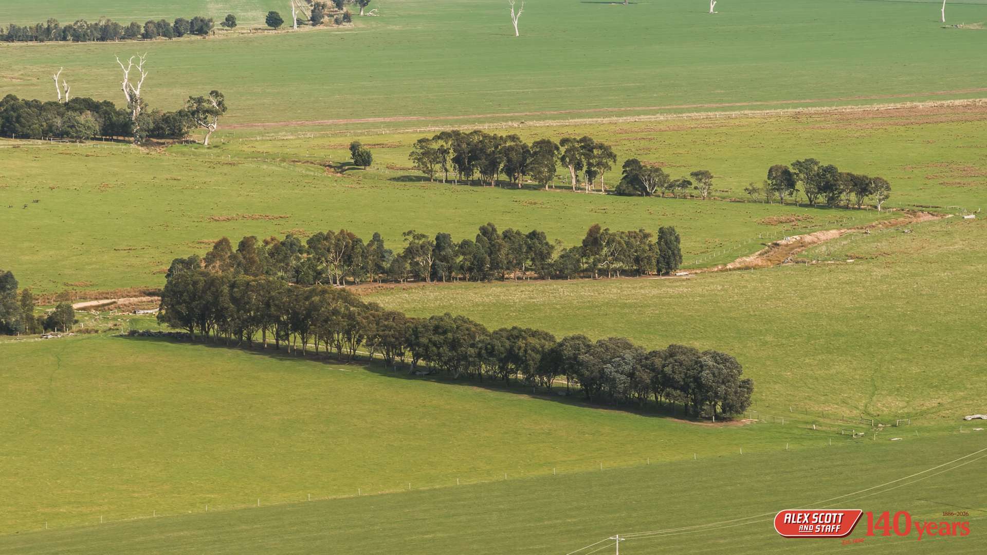 985 Rosedale Flynns Creek Road, Rosedale For Sale by Farmbuy.com - image 6