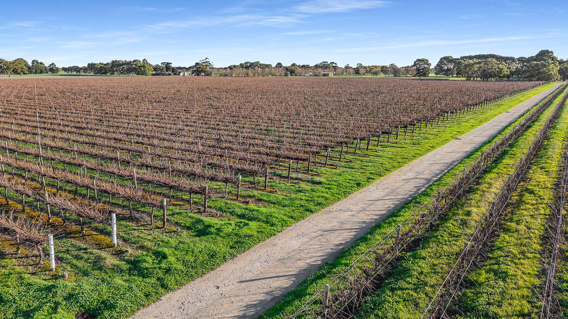 417 Glenroy-Bool Lagoon Road, Glenroy For Sale by Farmbuy.com - image 6