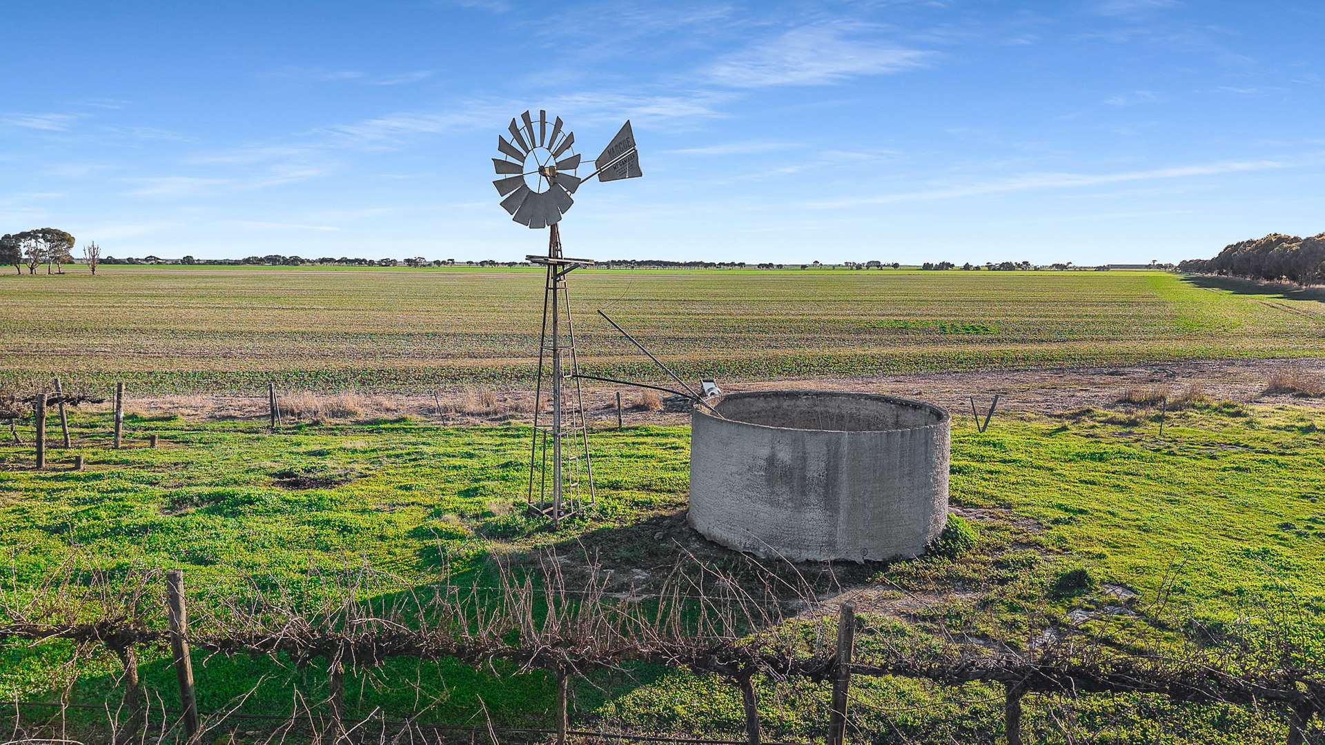 417 Glenroy-Bool Lagoon Road, Glenroy For Sale by Farmbuy.com - image 5