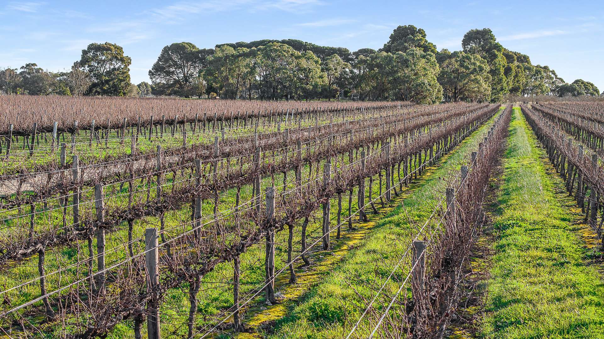 417 Glenroy-Bool Lagoon Road, Glenroy For Sale by Farmbuy.com - image 8