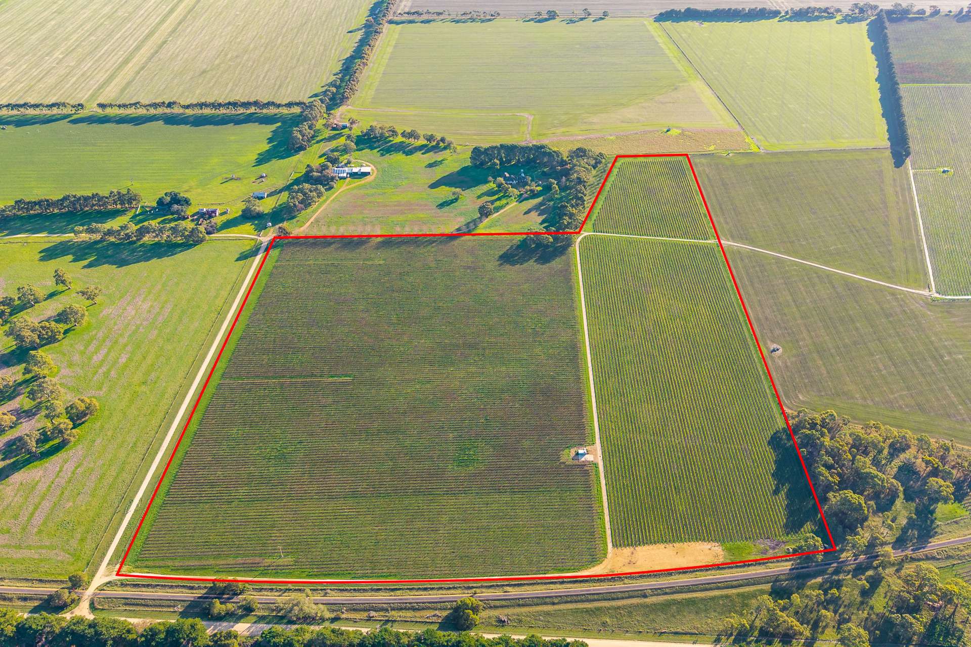 417 Glenroy-Bool Lagoon Road, Glenroy For Sale by Farmbuy.com - image 9