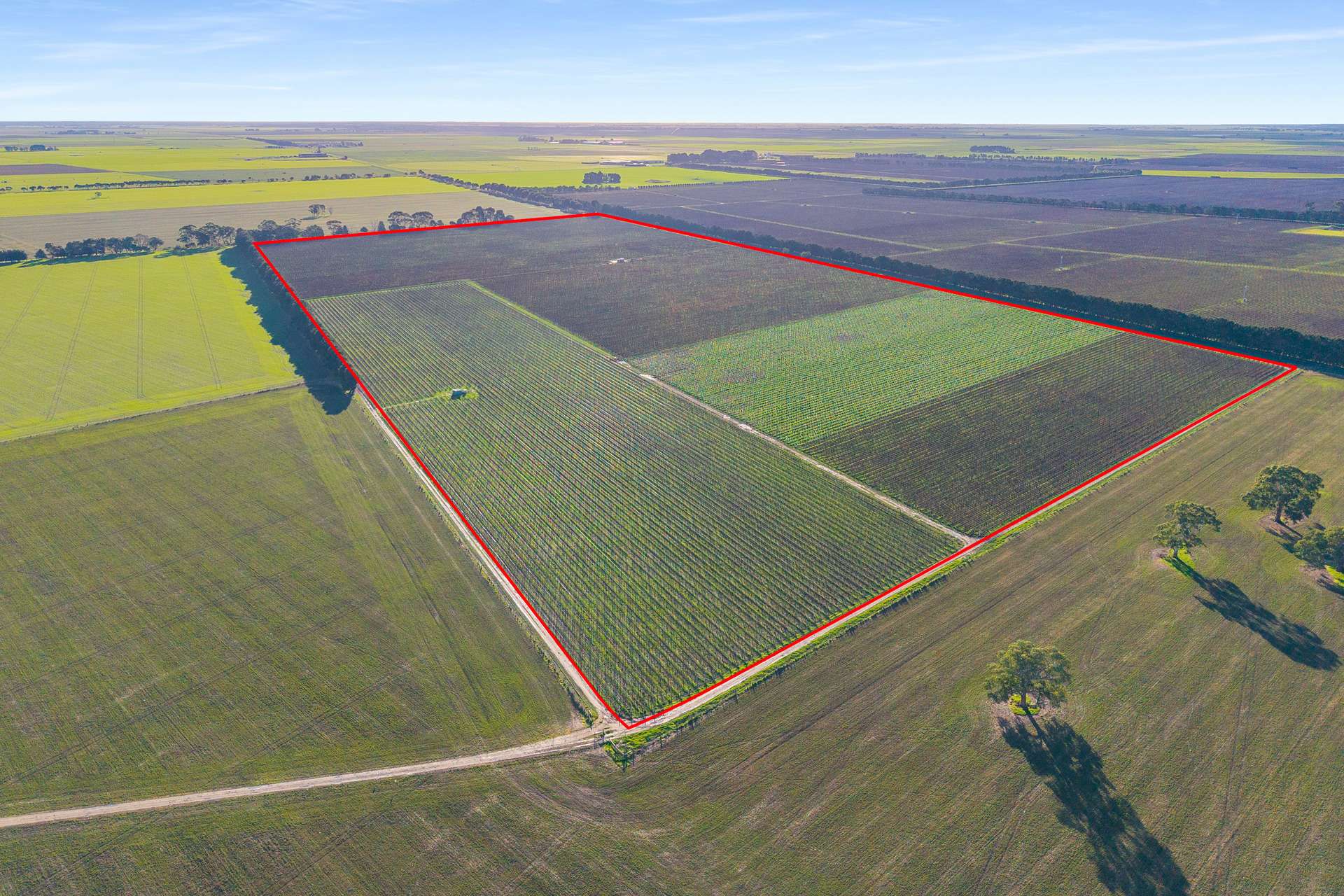 417 Glenroy-Bool Lagoon Road, Glenroy For Sale by Farmbuy.com - image 10