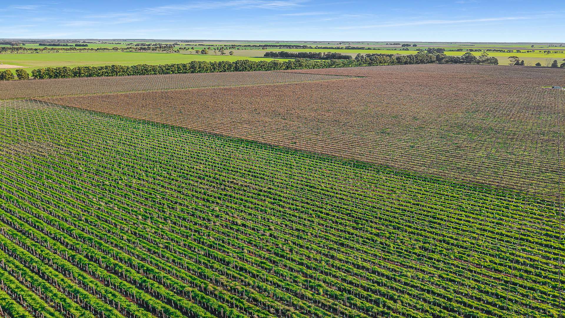 417 Glenroy-Bool Lagoon Road, Glenroy For Sale by Farmbuy.com - image 2