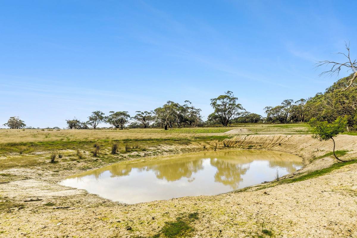 346 Coopers Road, Meredith For Sale by Farmbuy.com - image 9
