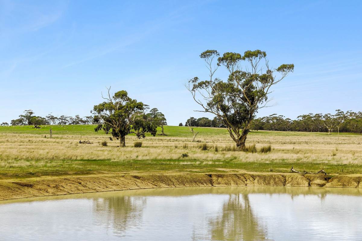 346 Coopers Road, Meredith For Sale by Farmbuy.com - image 5