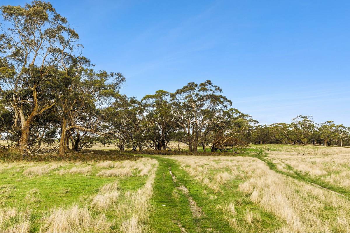 346 Coopers Road, Meredith For Sale by Farmbuy.com - image 2