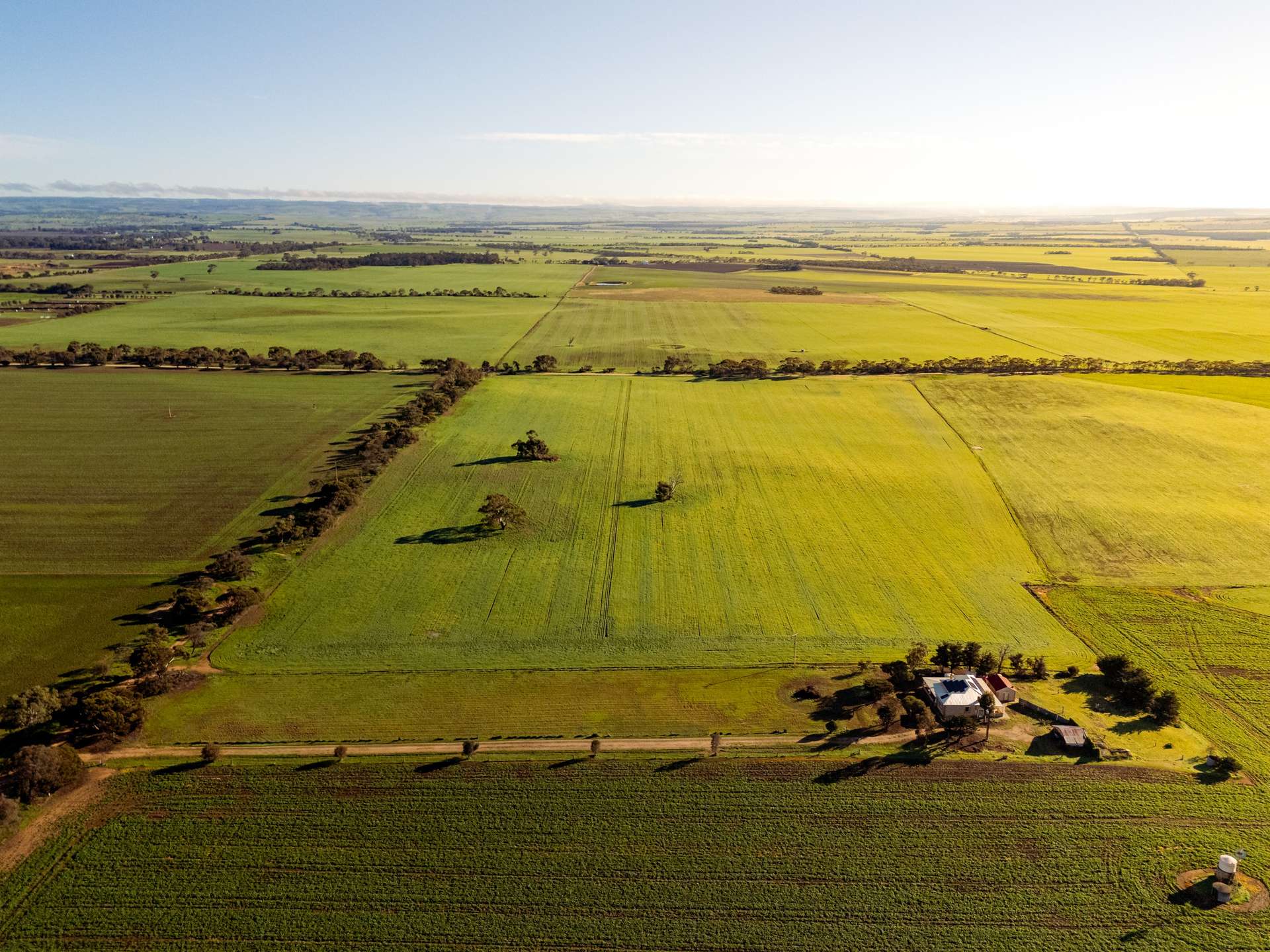 32 Whittlesea Road, Langhorne Creek Auction by Farmbuy.com - image 27