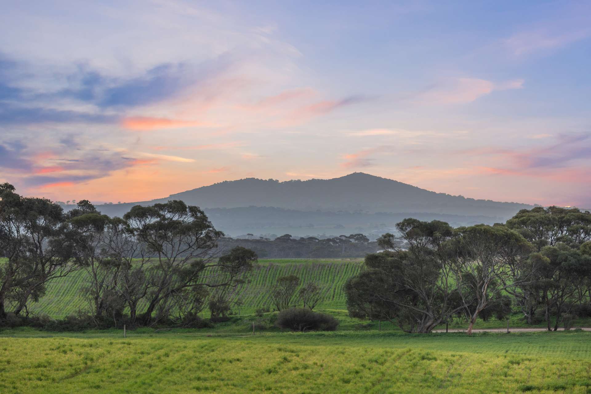 32 Whittlesea Road, Langhorne Creek Auction by Farmbuy.com - image 25