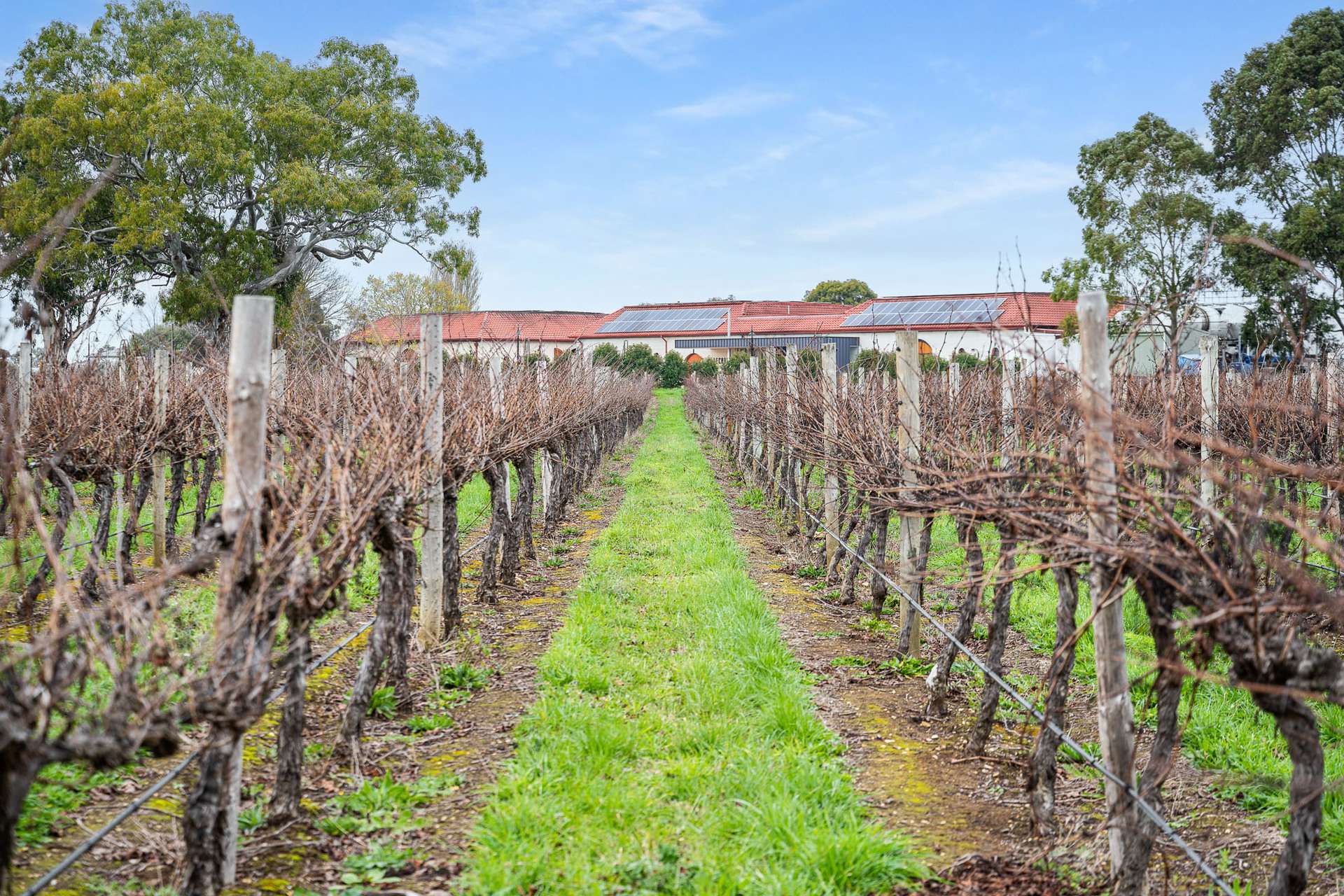 11 Maaoupe Road, Penola For Sale by Farmbuy.com - image 28