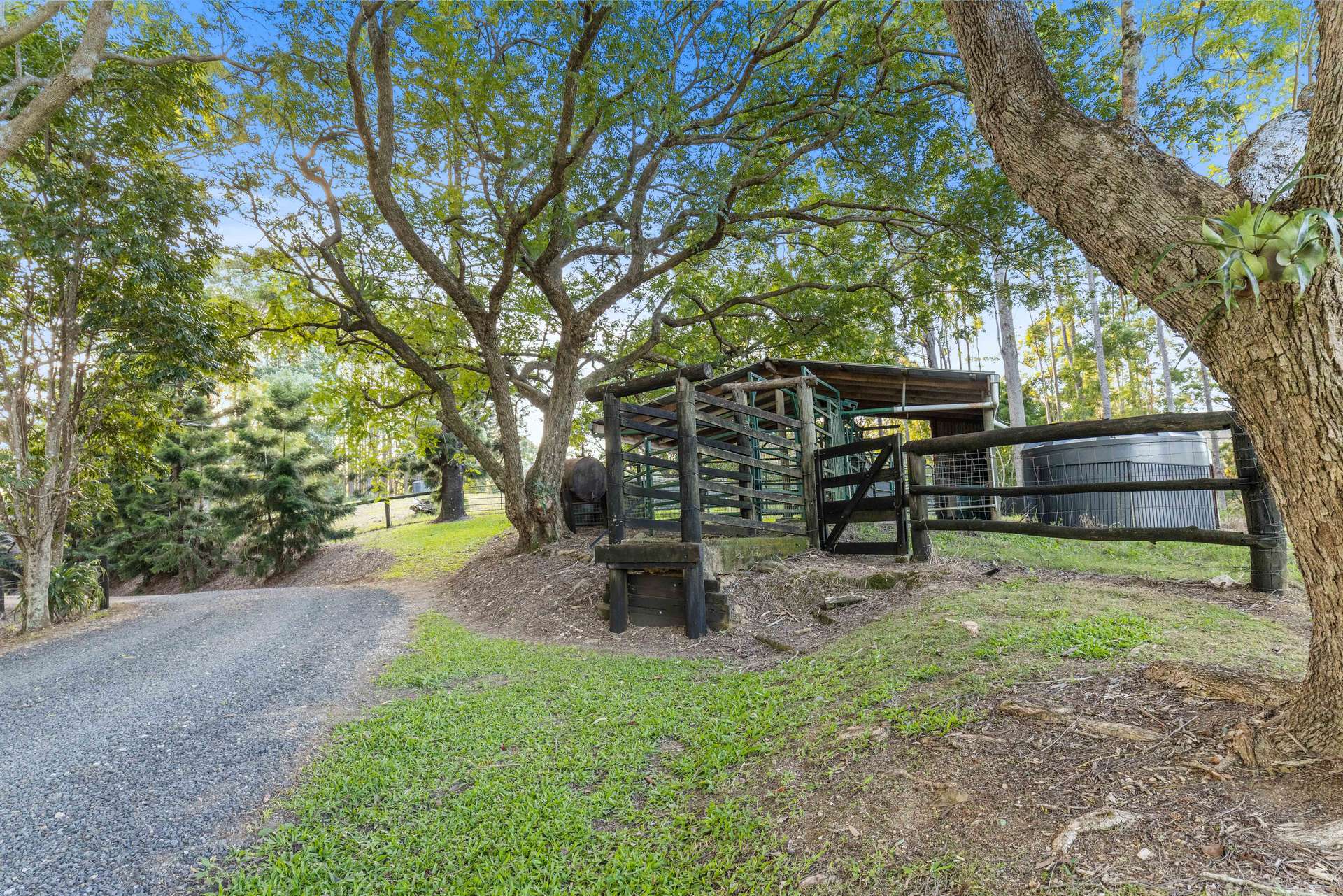 164 Arthys Road, Cooran For Sale by Farmbuy.com - image 32
