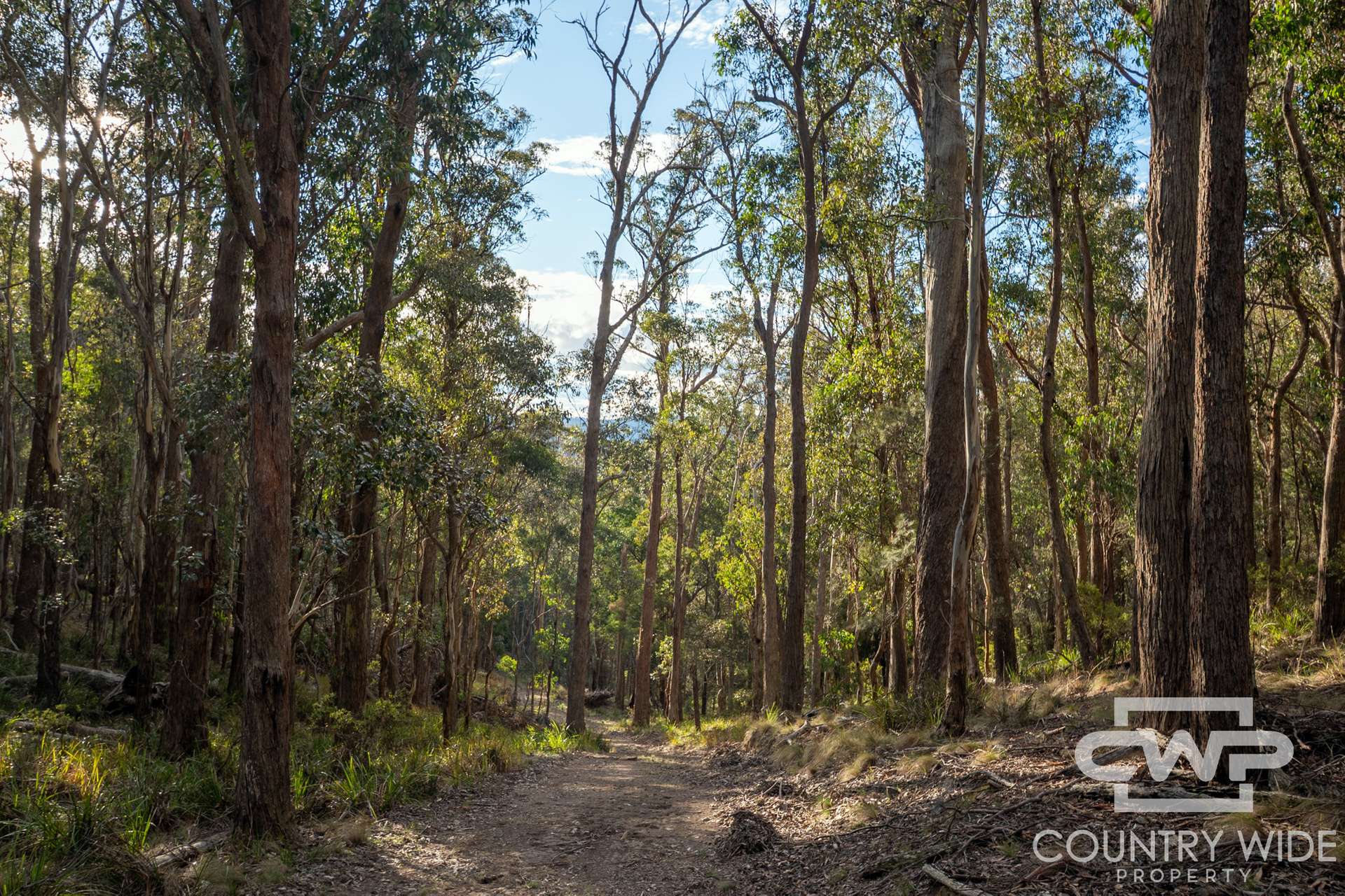 Lot 140, / Dellwood Road, Deepwater For Sale by Farmbuy.com - image 17