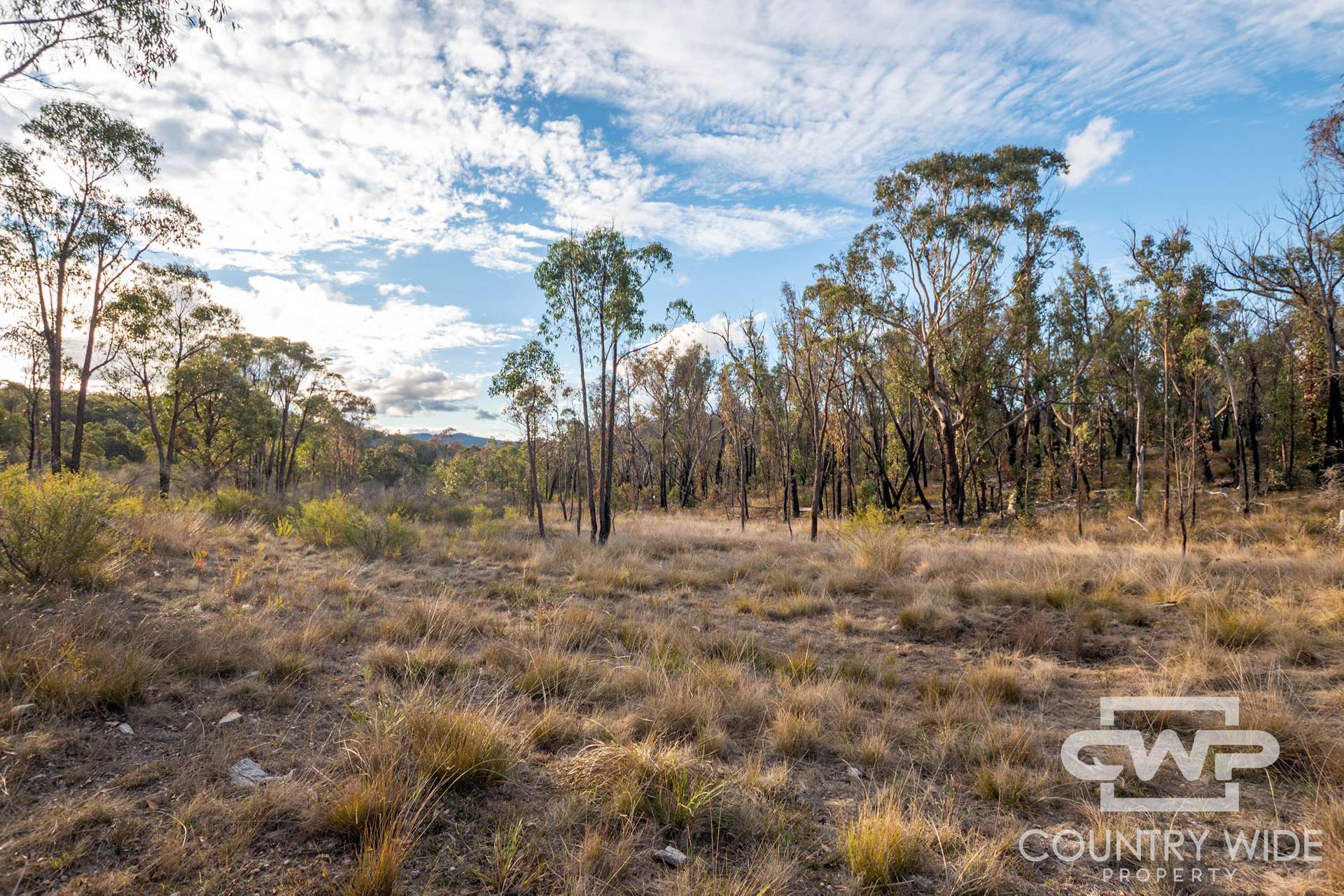 Lot 140, / Dellwood Road, Deepwater For Sale by Farmbuy.com - image 2