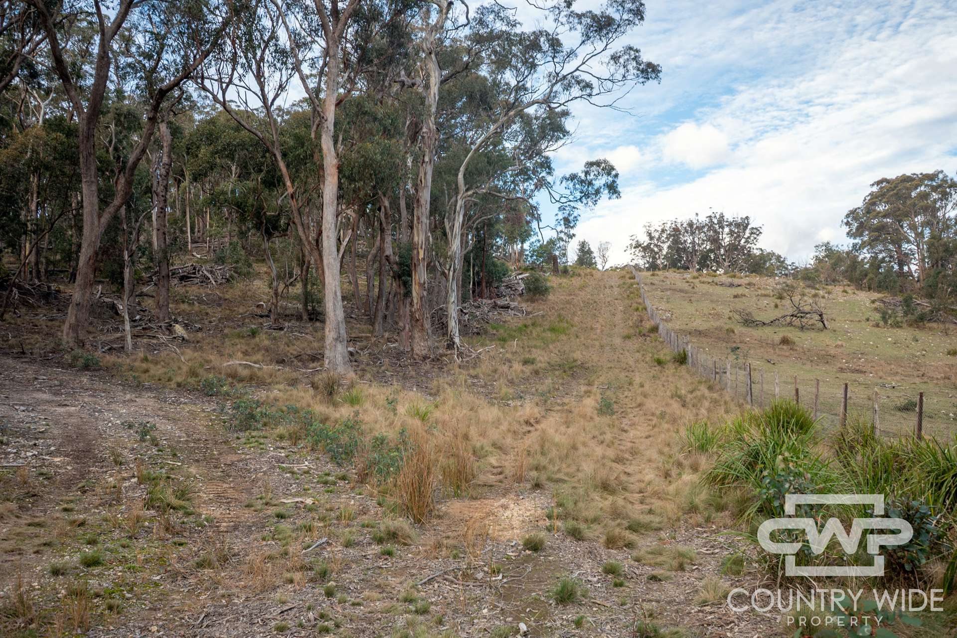 Lot 140, / Dellwood Road, Deepwater For Sale by Farmbuy.com - image 16