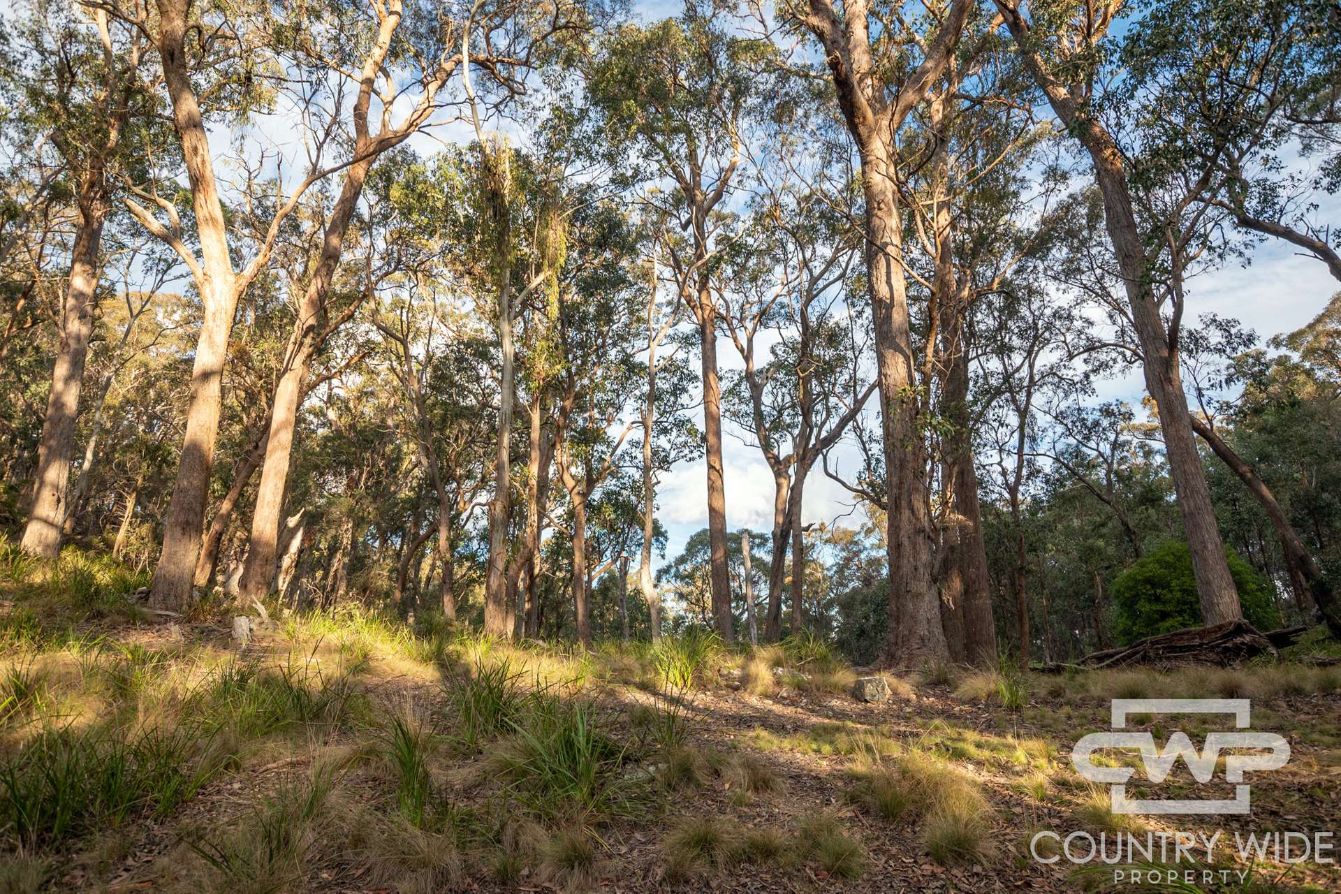 Lot 140, / Dellwood Road, Deepwater For Sale by Farmbuy.com - image 9